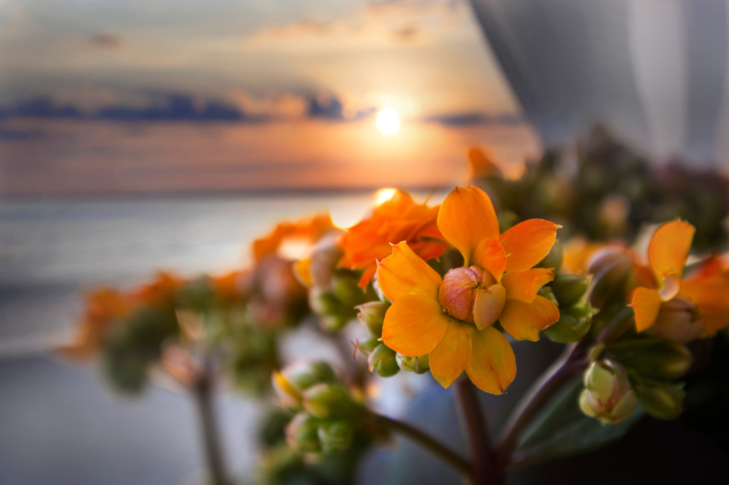 Рекламный фотограф Никита Барковский