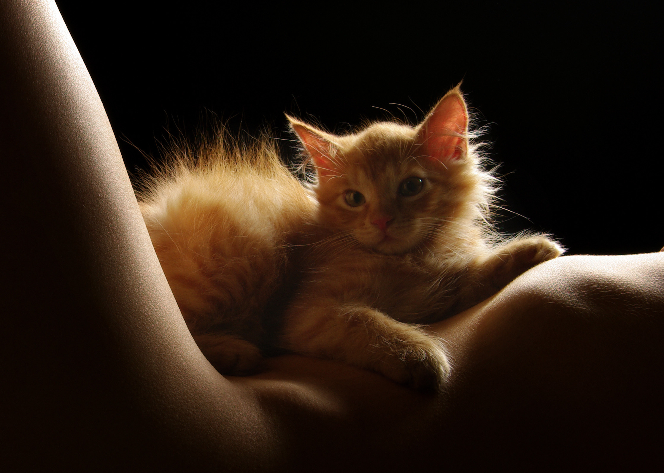 Рекламный фотограф Никита Барковский