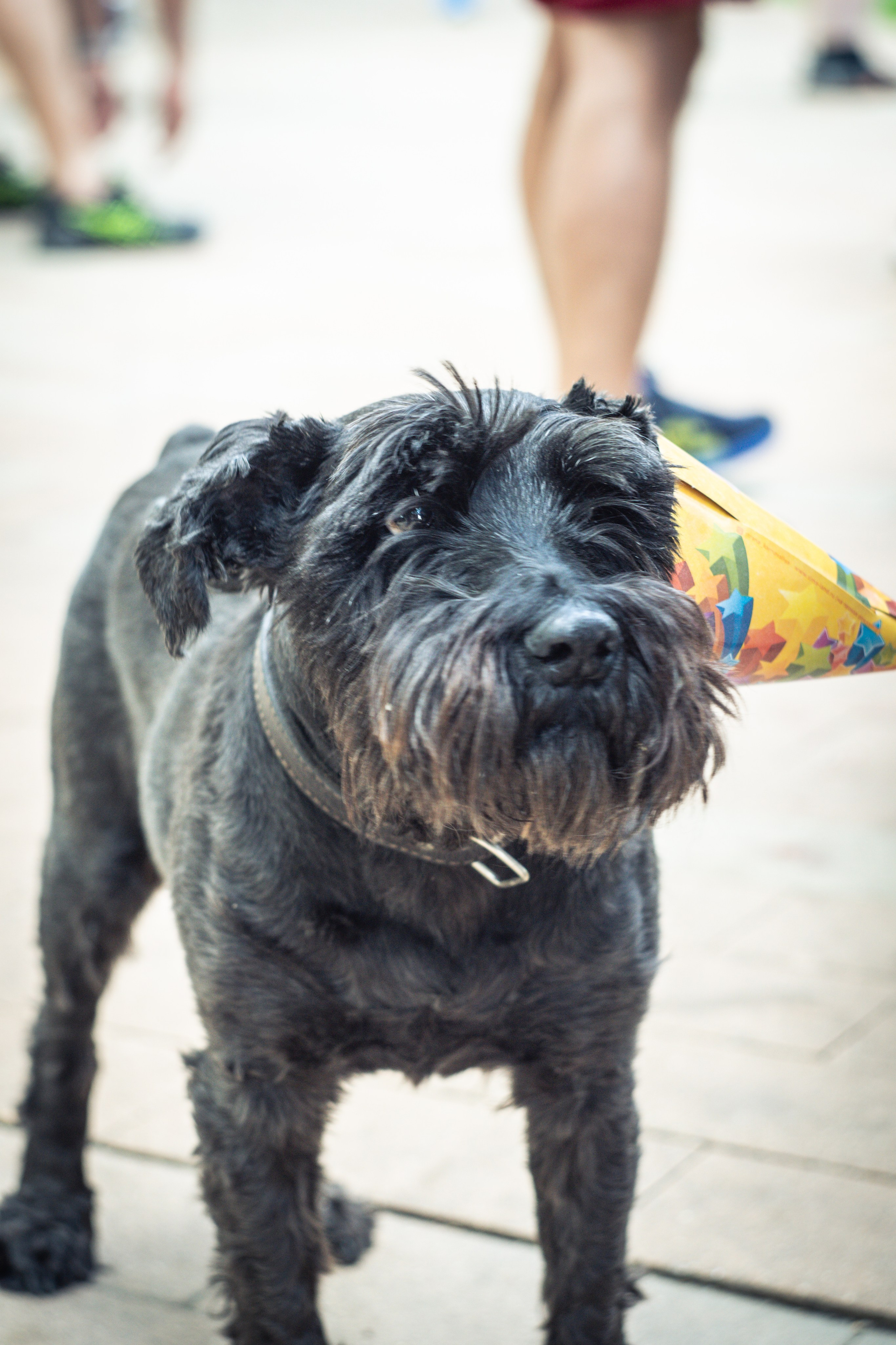 5 вёрст Наташинский 8 июня 2024. Роман Капилюшов. Бег. Фото. Видео. г. Люберцы