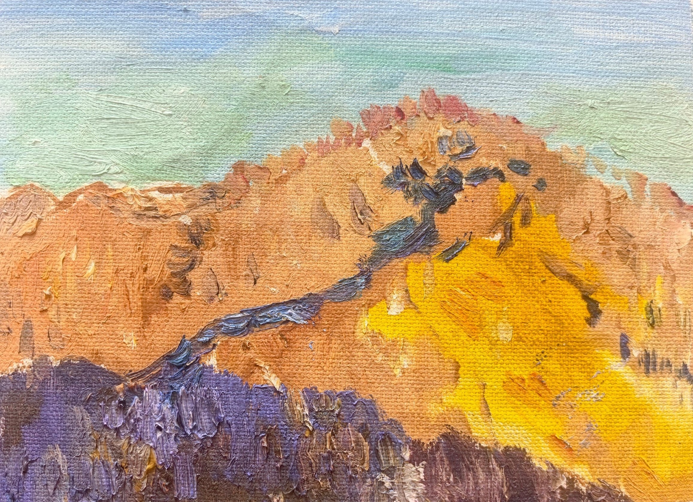 Этюды Камчатка. Художник и гид по Камчатке Евгений Чайкин