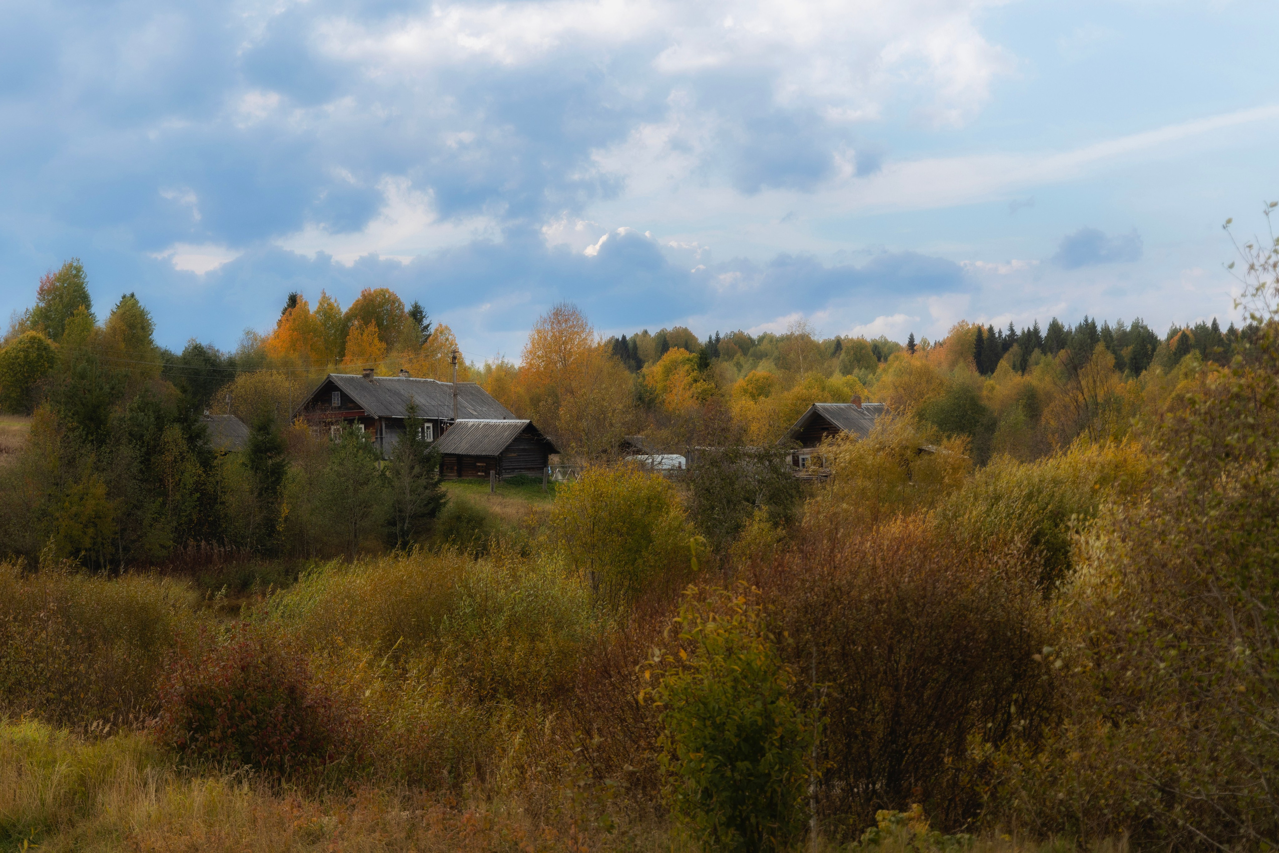 Деревня Шондовичи,Подпорожского района Ленинградской области