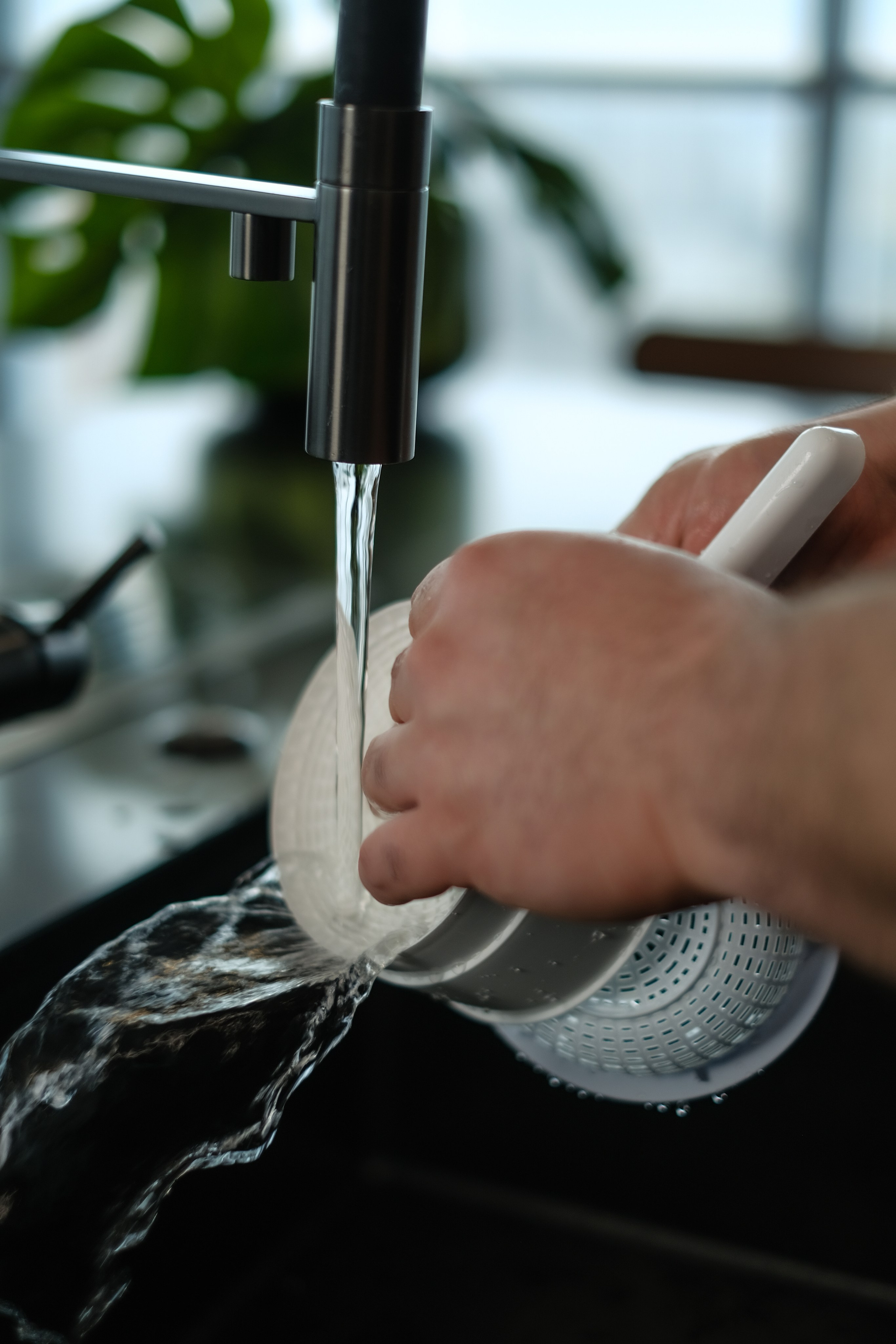 Домашний сыр бренда «TAGA». Портретные и творческие съемки Санкт-Петребург