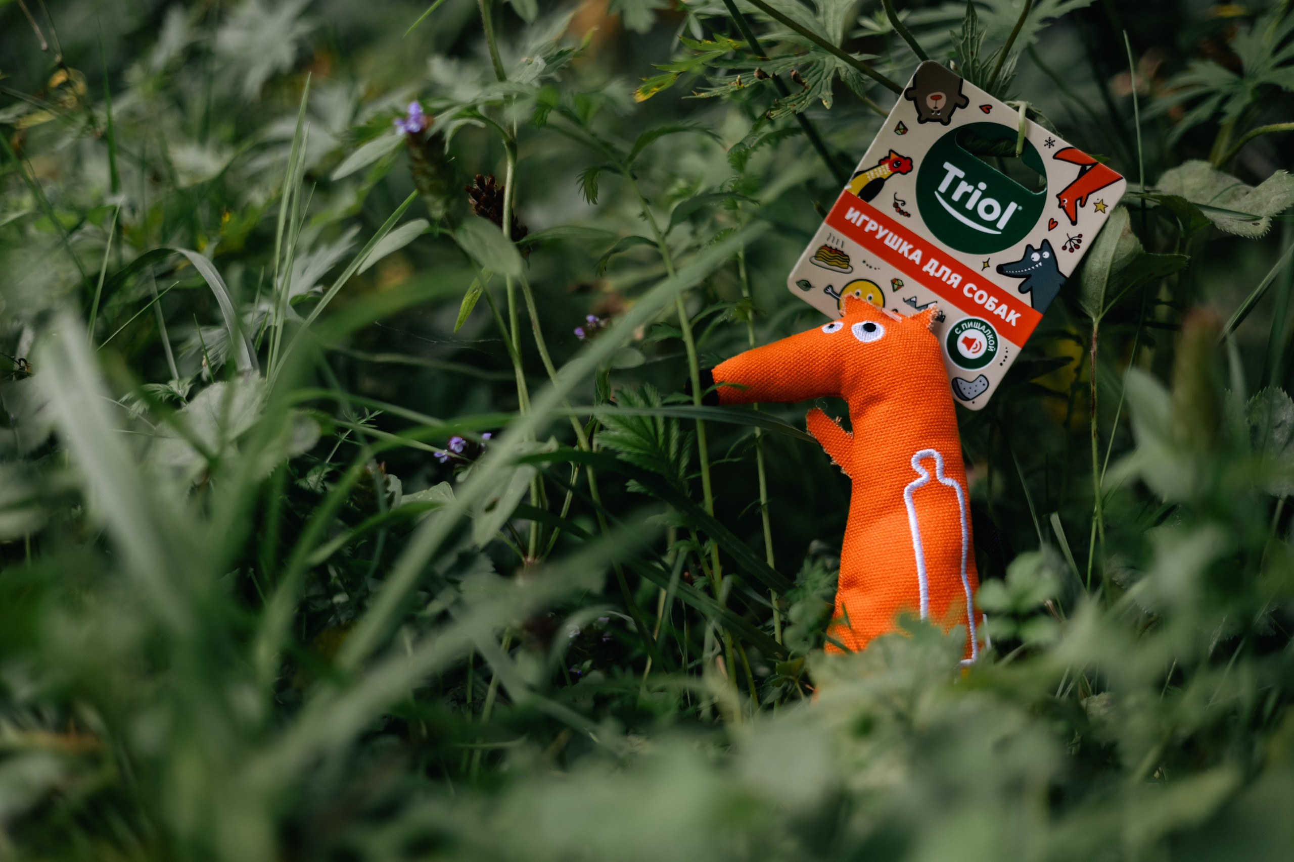 VI ОТКРЫТЫЕ КИНОЛОГИЧЕСКИЕ СОРЕВНОВАНИЯ. ЧЕЛЯБИНСКАЯ ОБЛАСТЬ 2025. Репортажный фотограф Наталья Лапцевич