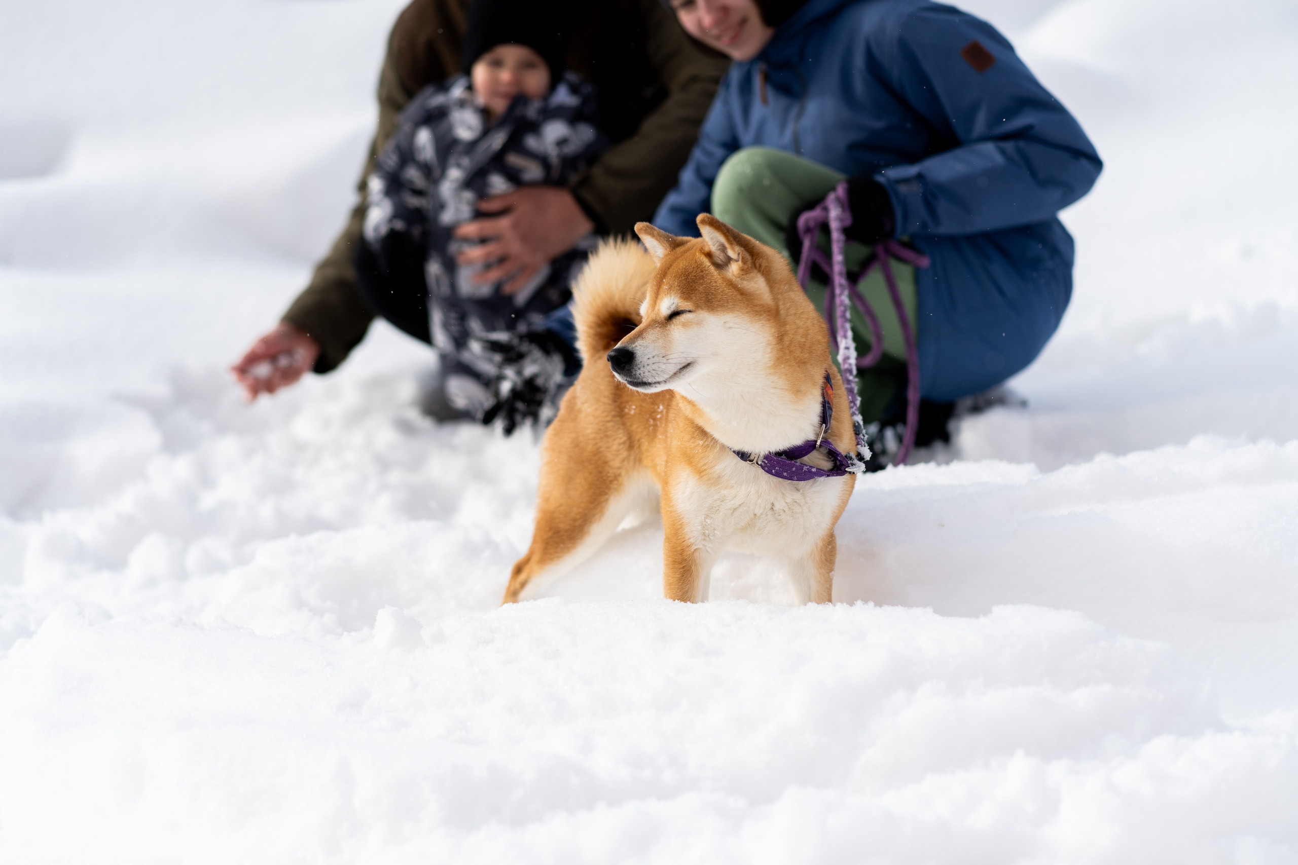 Соня&Лёня. Анастасия Паршукова — фотограф Шерегеш Новосибирск