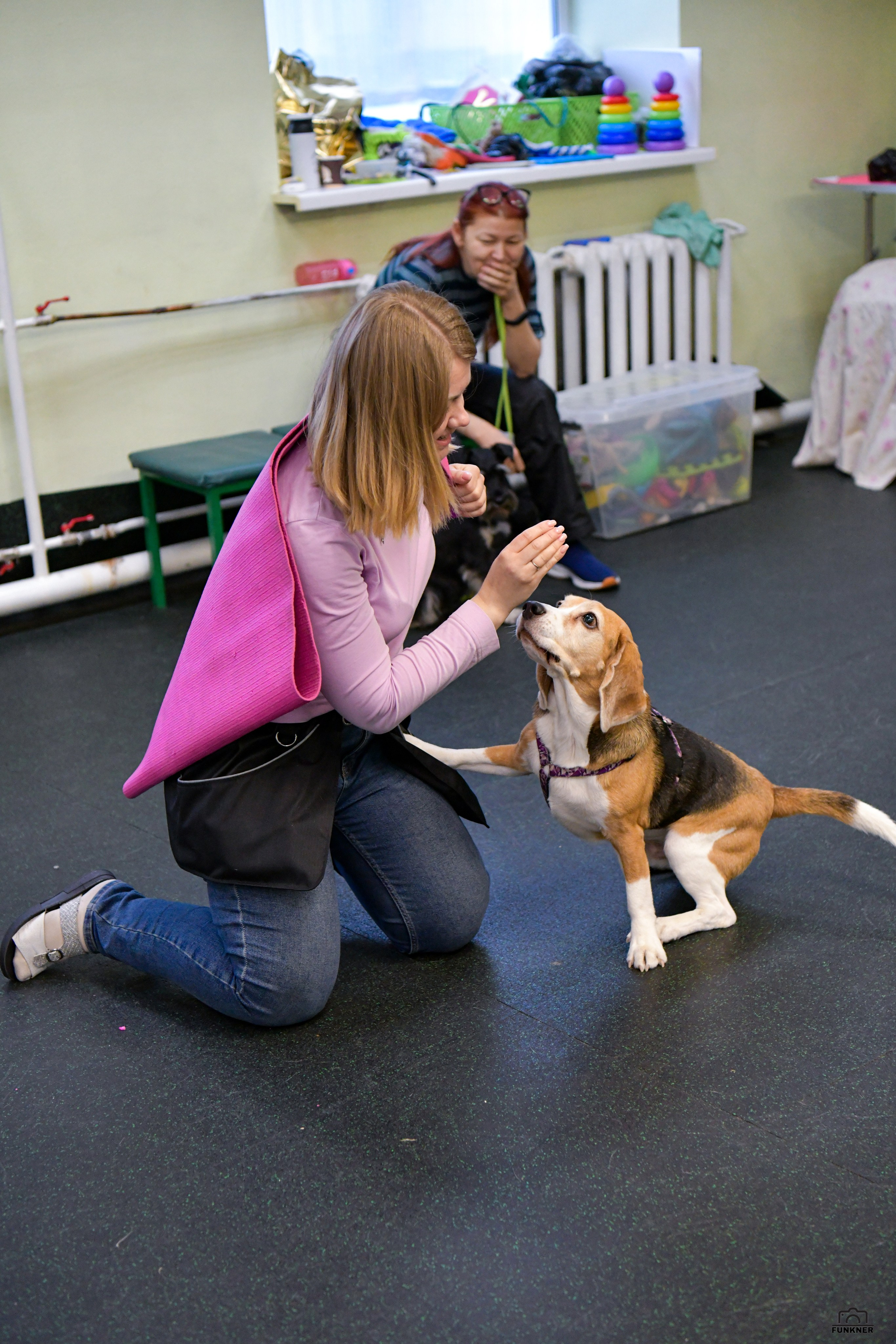 Кинологический клуб «Бодрый хвост». Свой взгляд через объектив