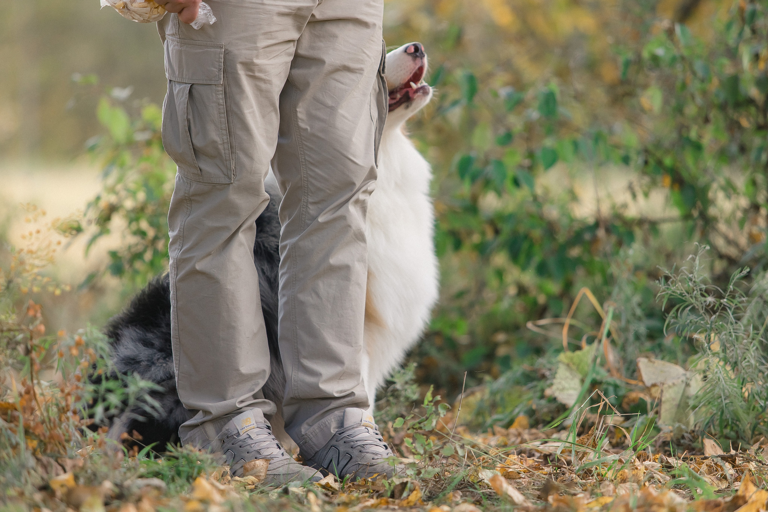 Аусси Дэймон. Свадебный и женский фотограф