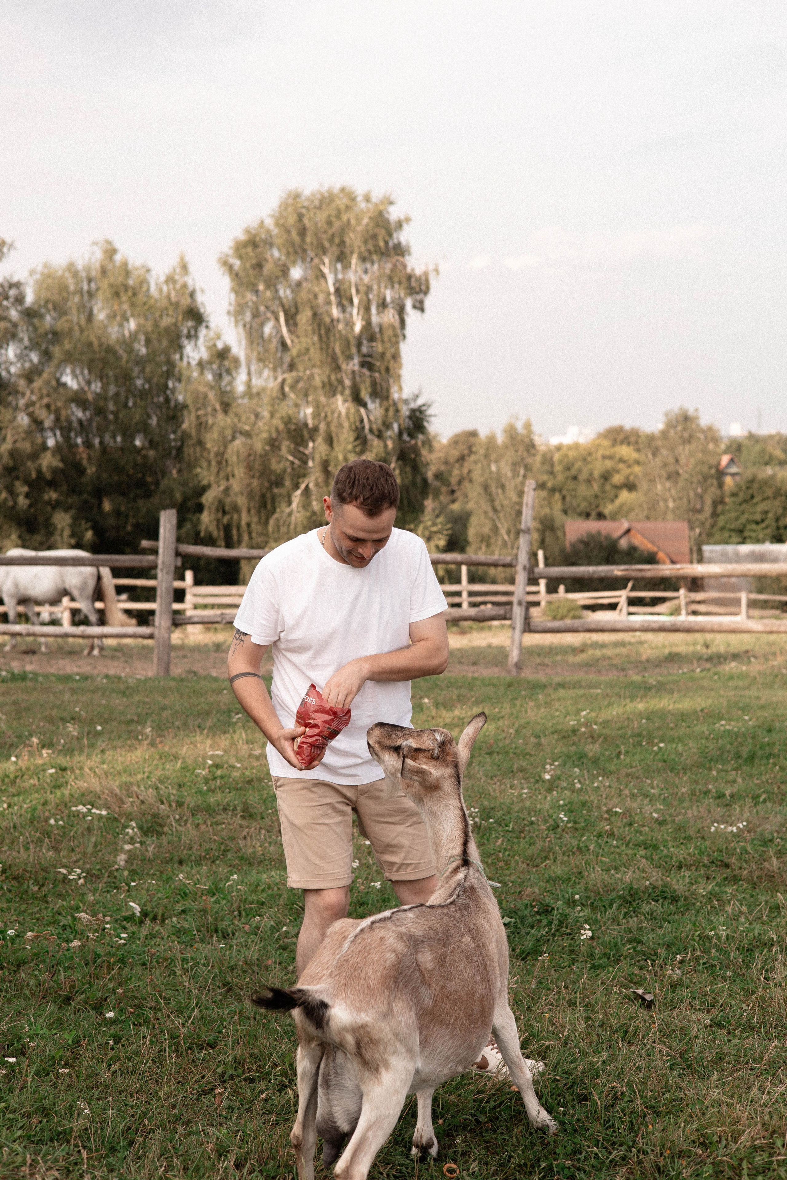 Давид, Настя и Дима. Свадебный и портретный фотограф Соломко Диана