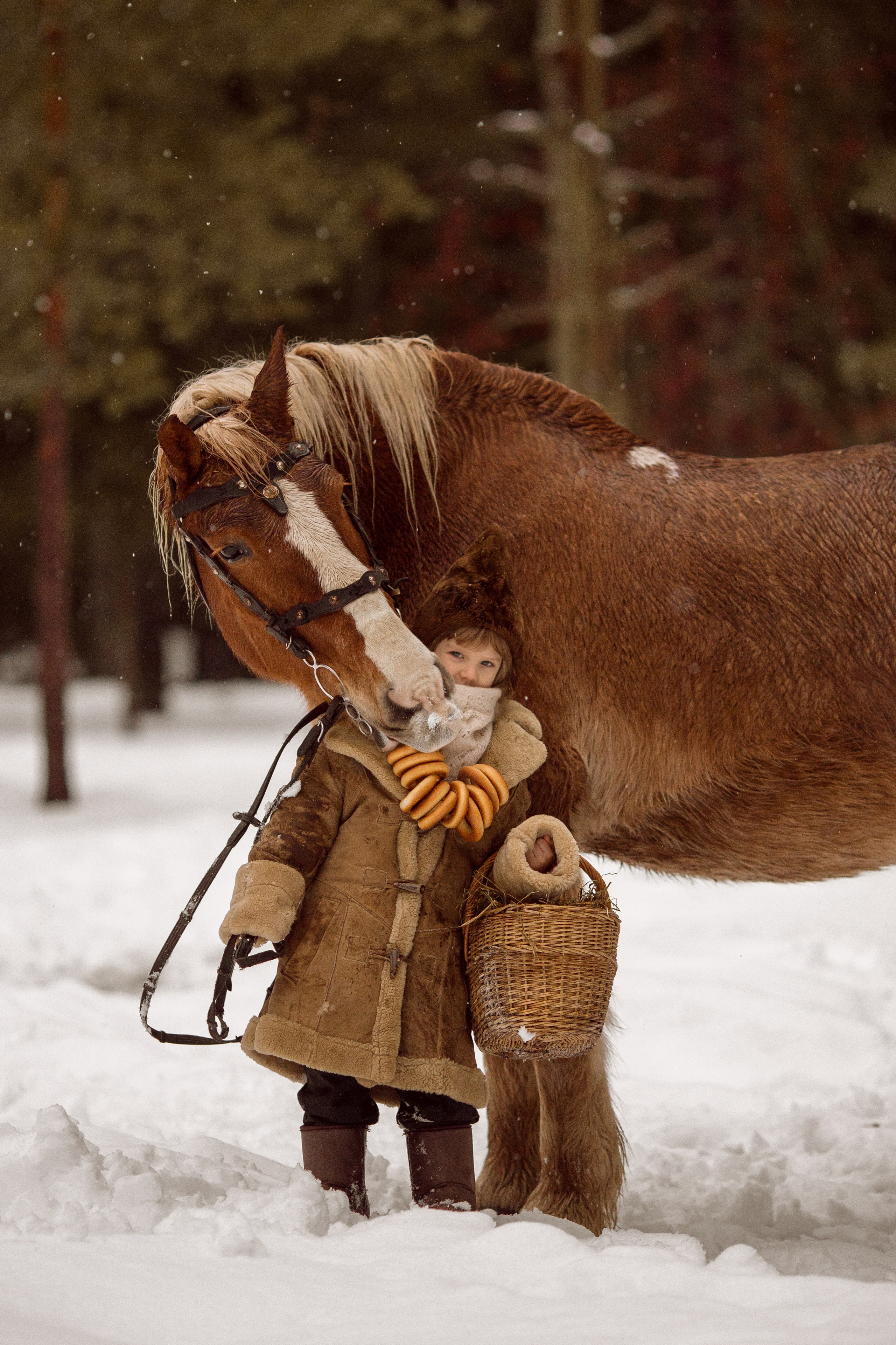 Фото мальчика и лошади зимой