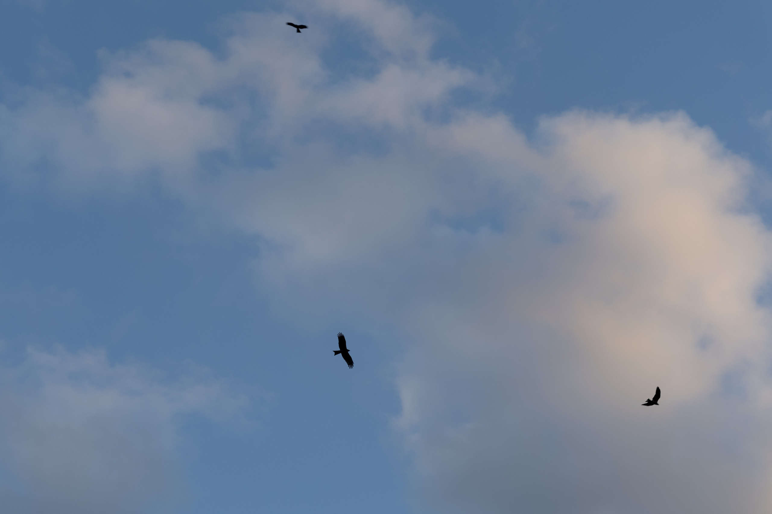 Красноярск. Портретный и уличный фотограф в Москве Таня Корнеева