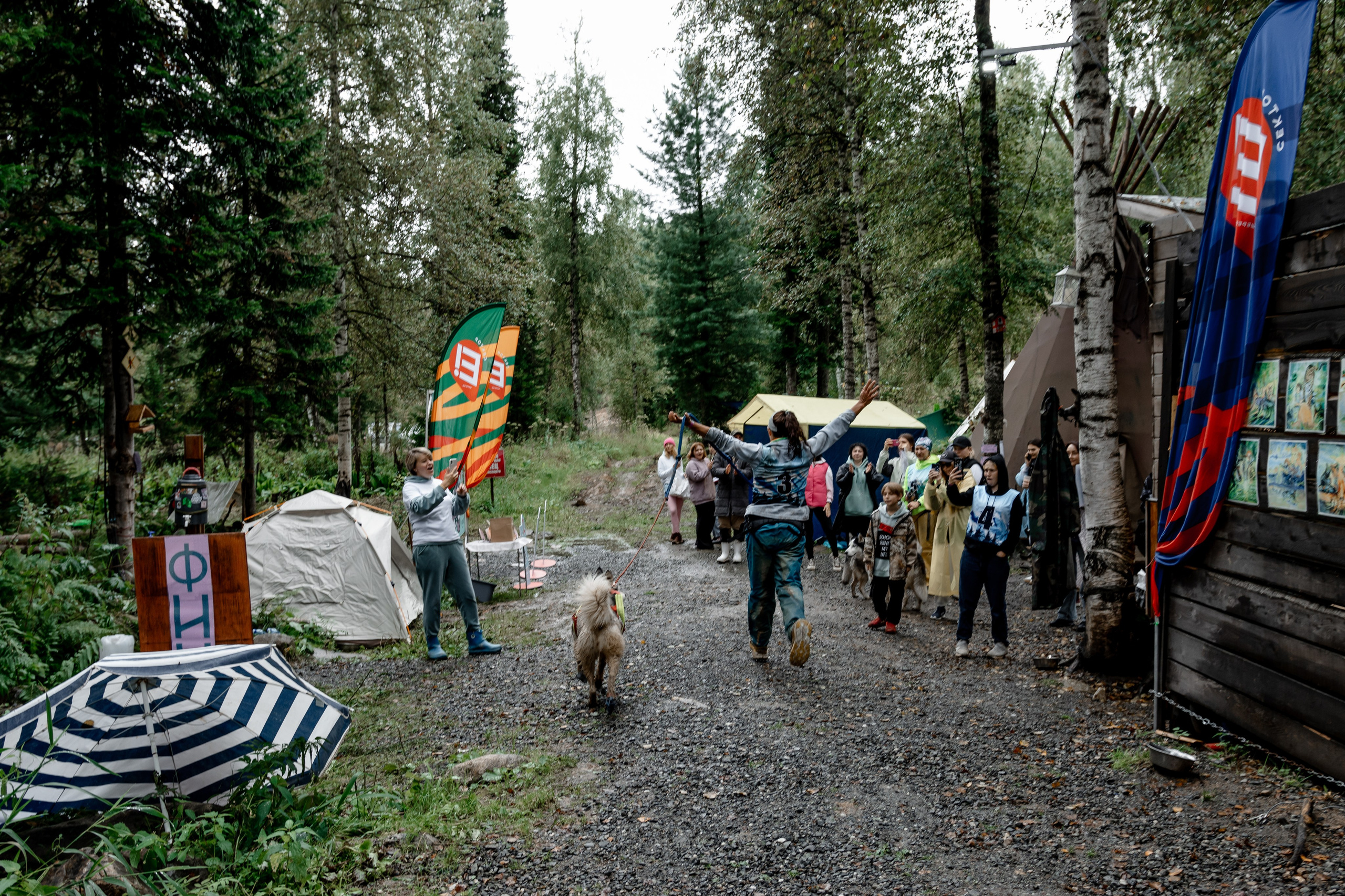 Дог-треккинг