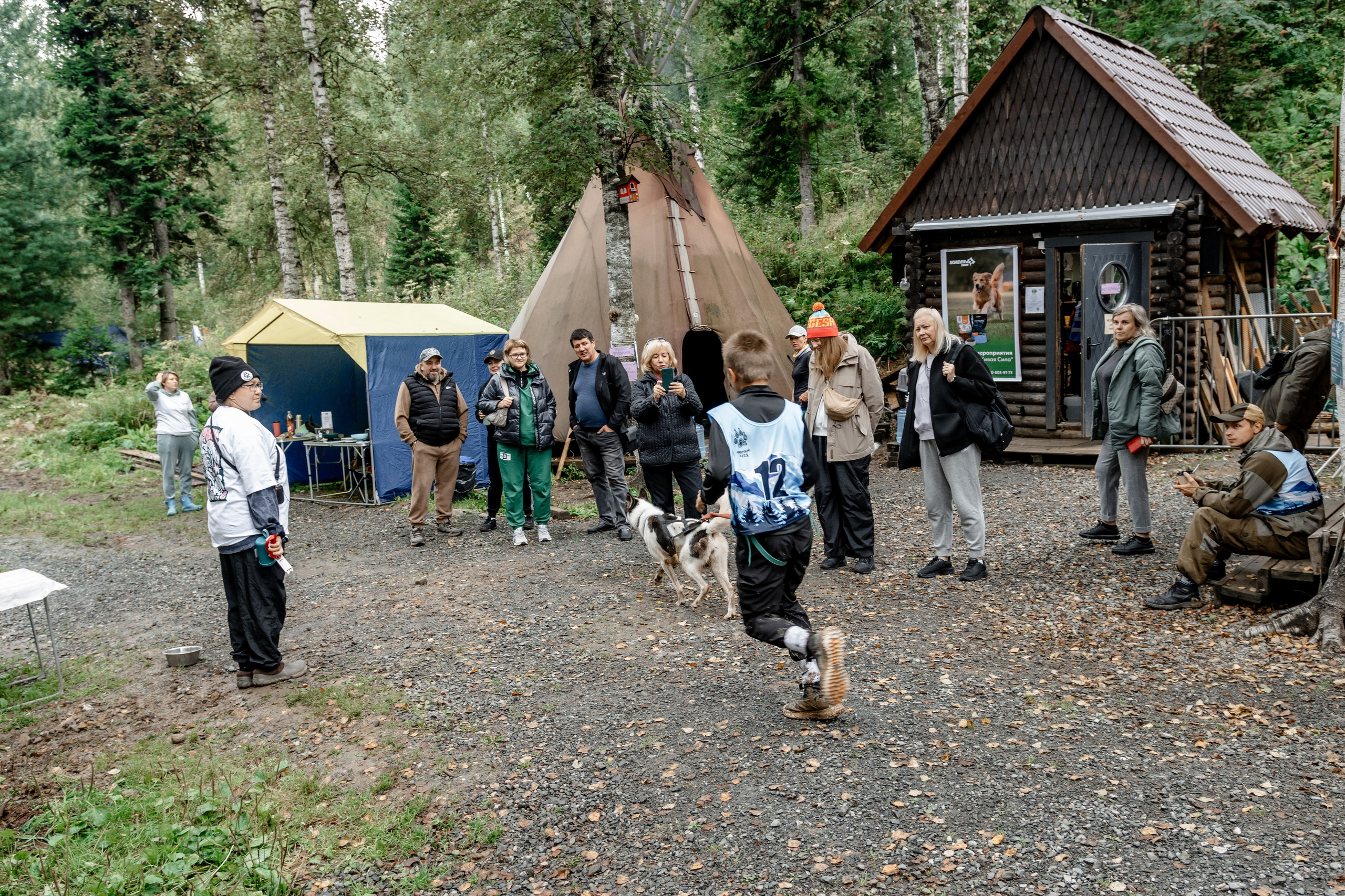 Дог-треккинг