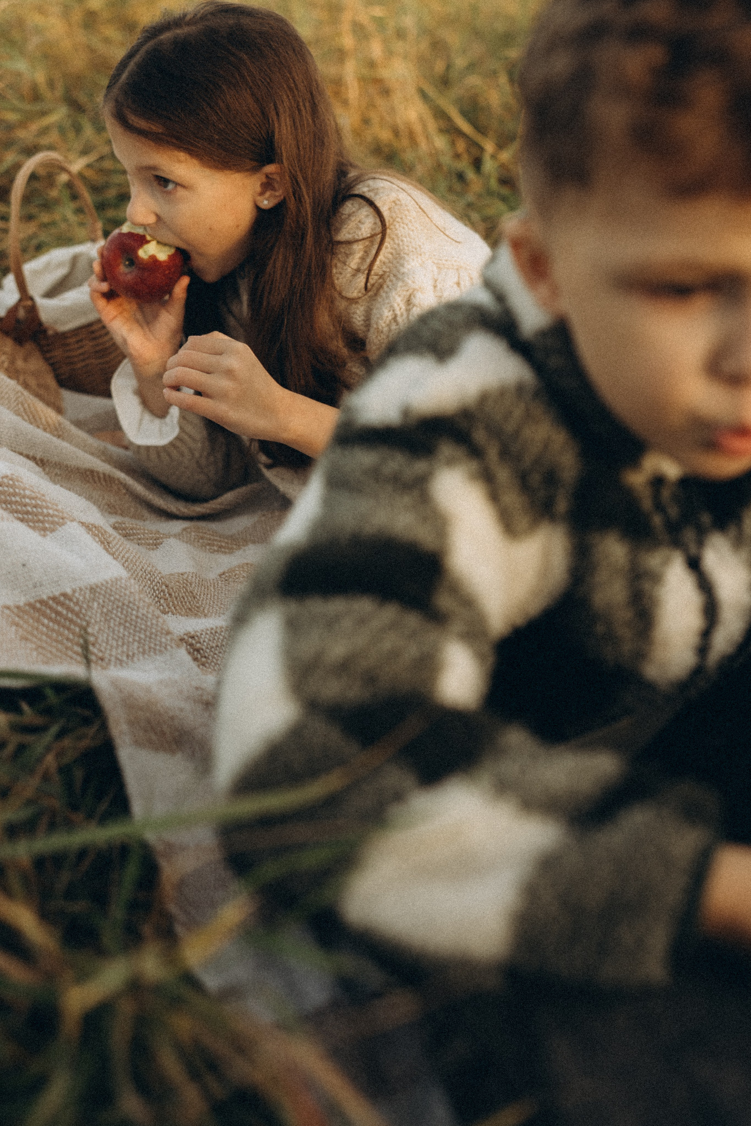 Вкус яблок. Семейный фотограф в Мурманске Екатерина Юшкова