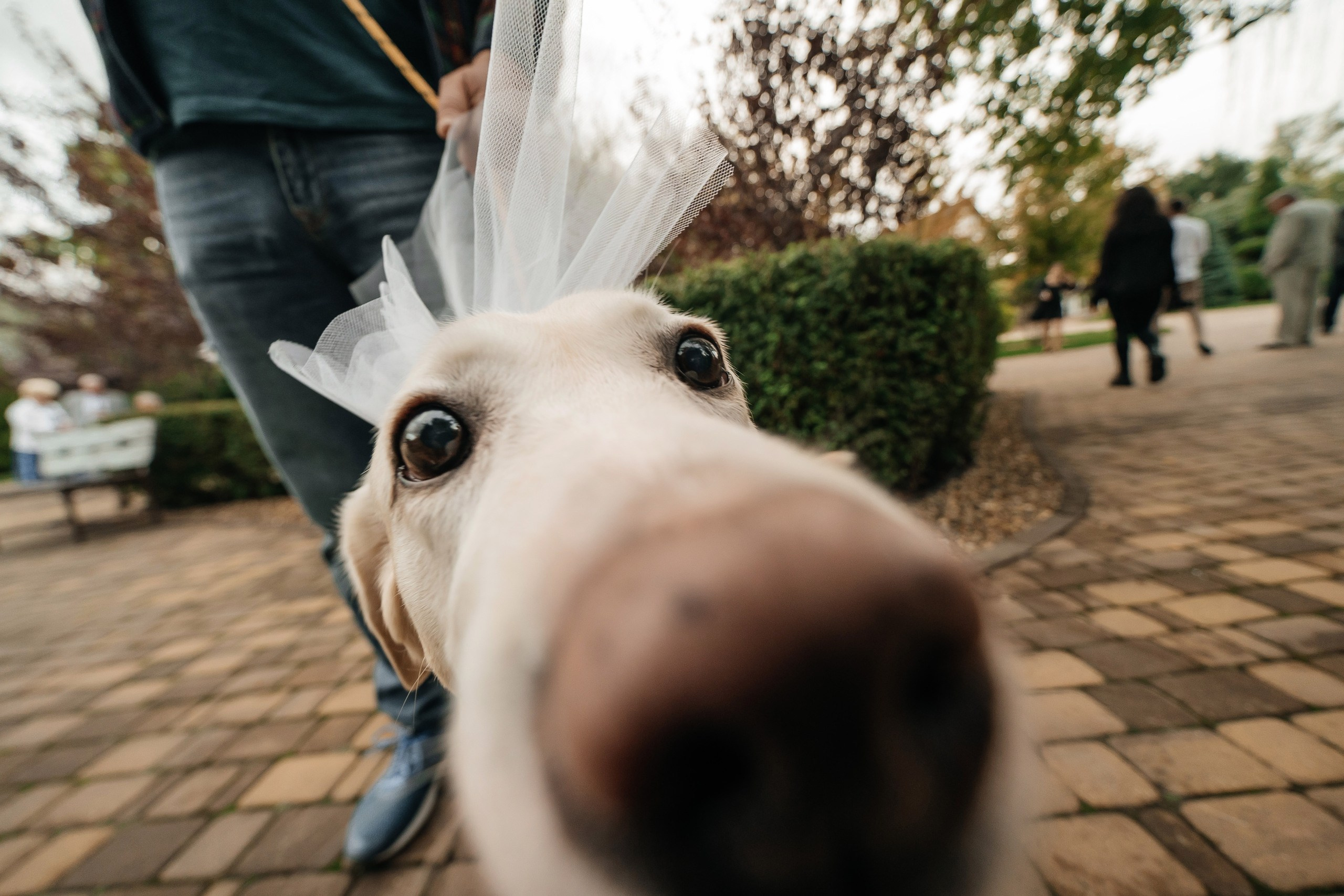 Вадим & Алина. Lokos.pro Ник Соколов Фото и Видео Москва/Ростов-на-Дону