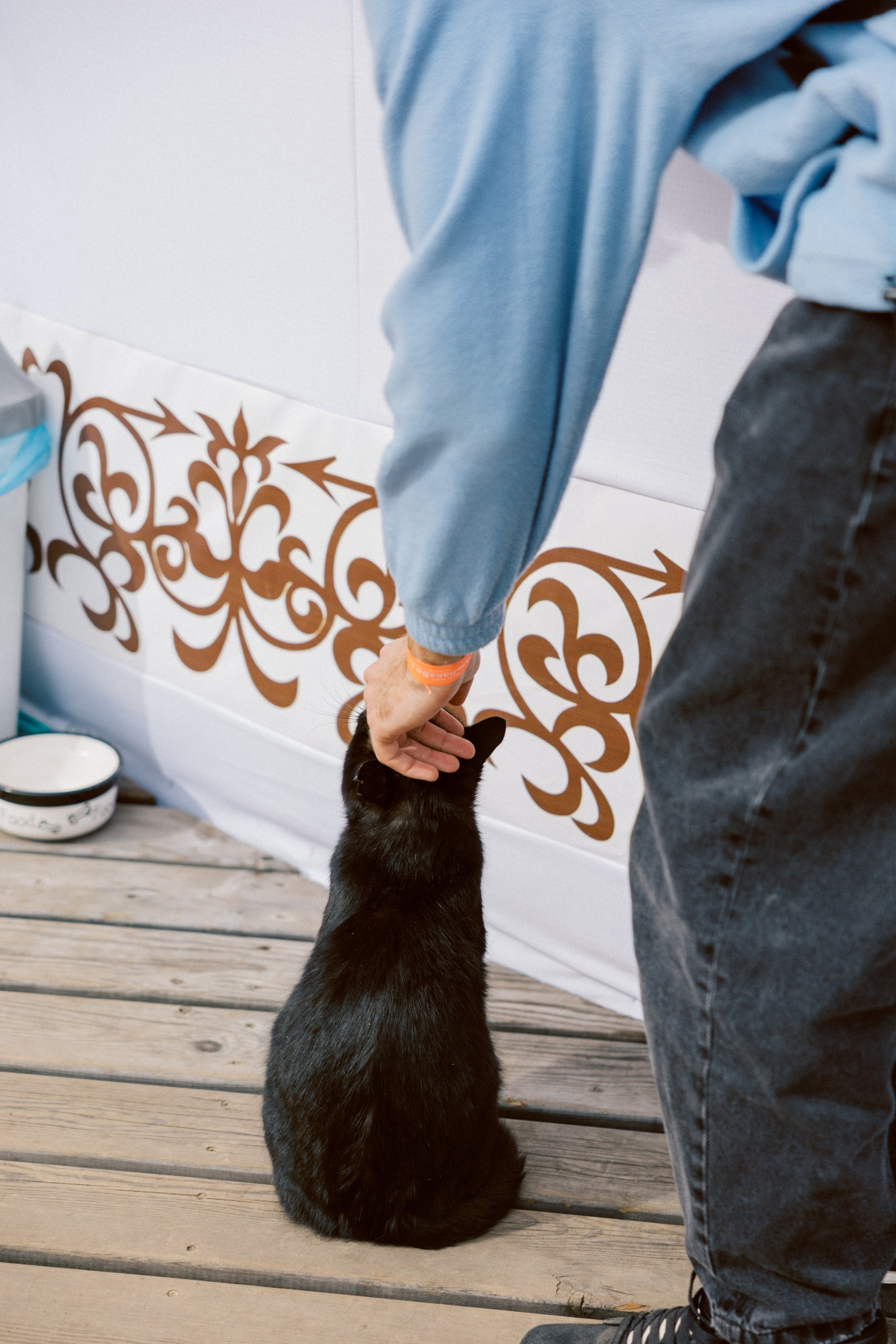 Тур, Архыз. Фотограф Эдуарда Титанян