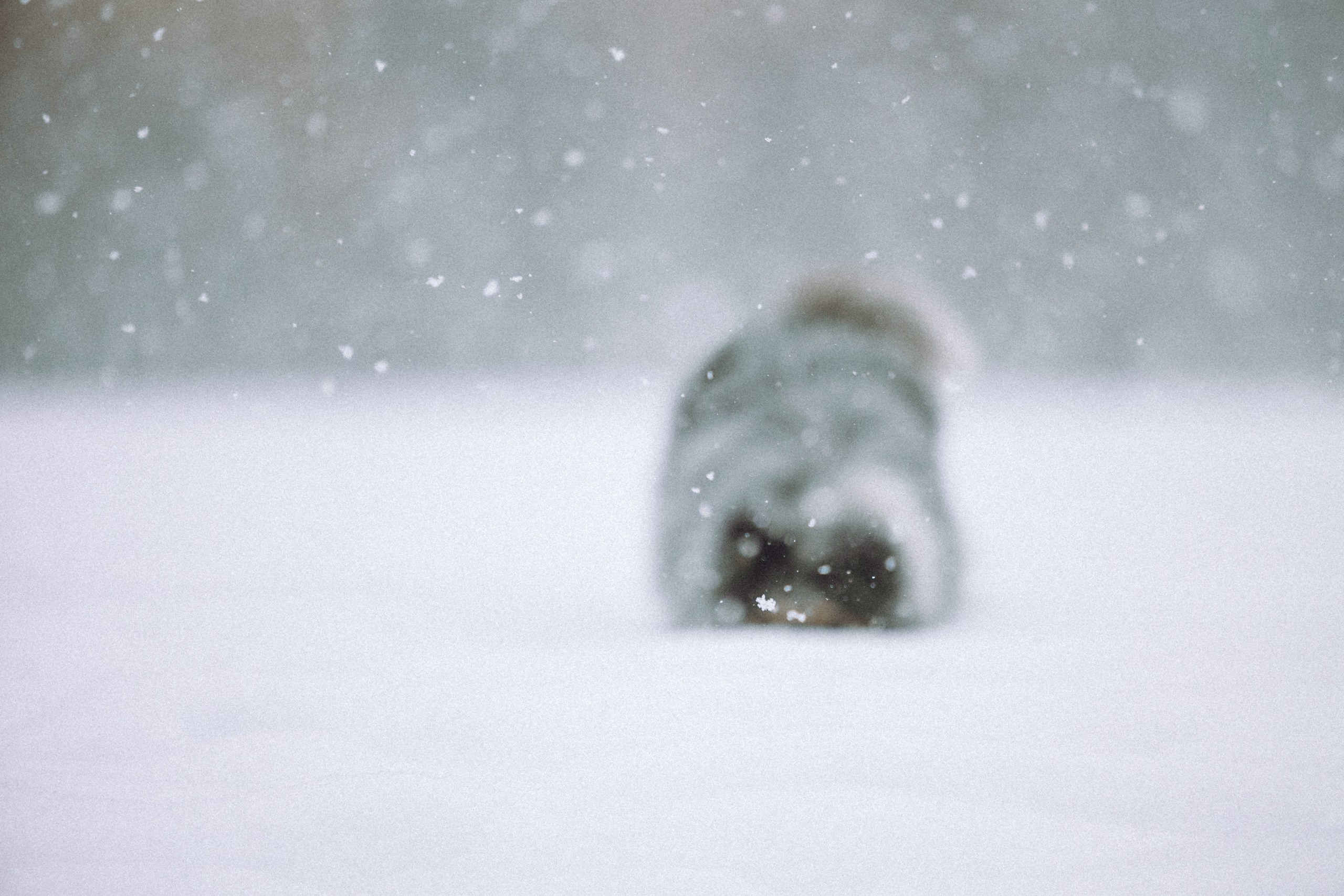 Как фотографировать зимой и сохранить технику?