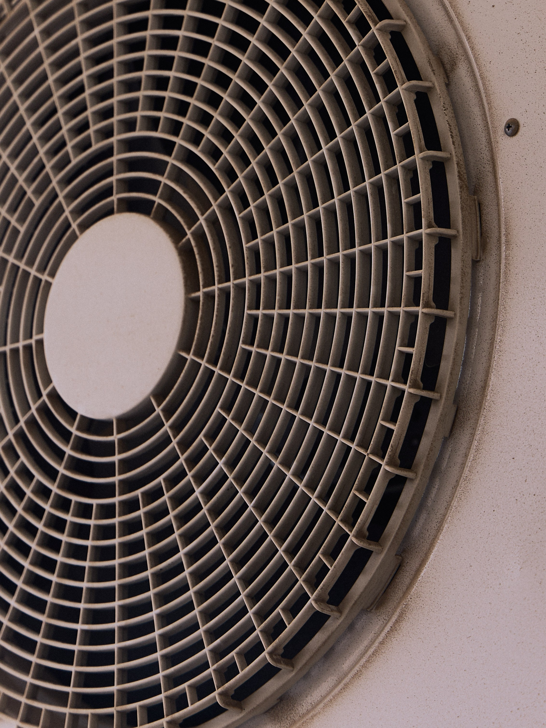 Другое 3. Jorgis — фотограф в Хургаде / обучение фотографии