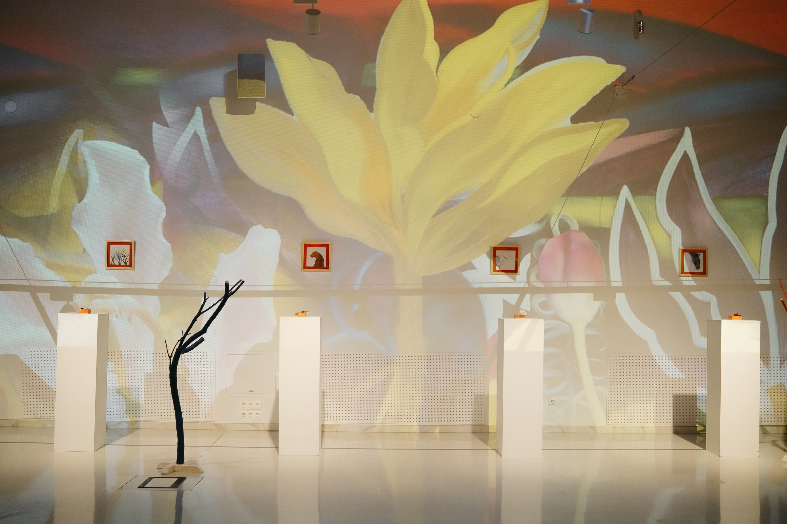 СЧАСТЬЕ & Альфия Sargin. Обо мне