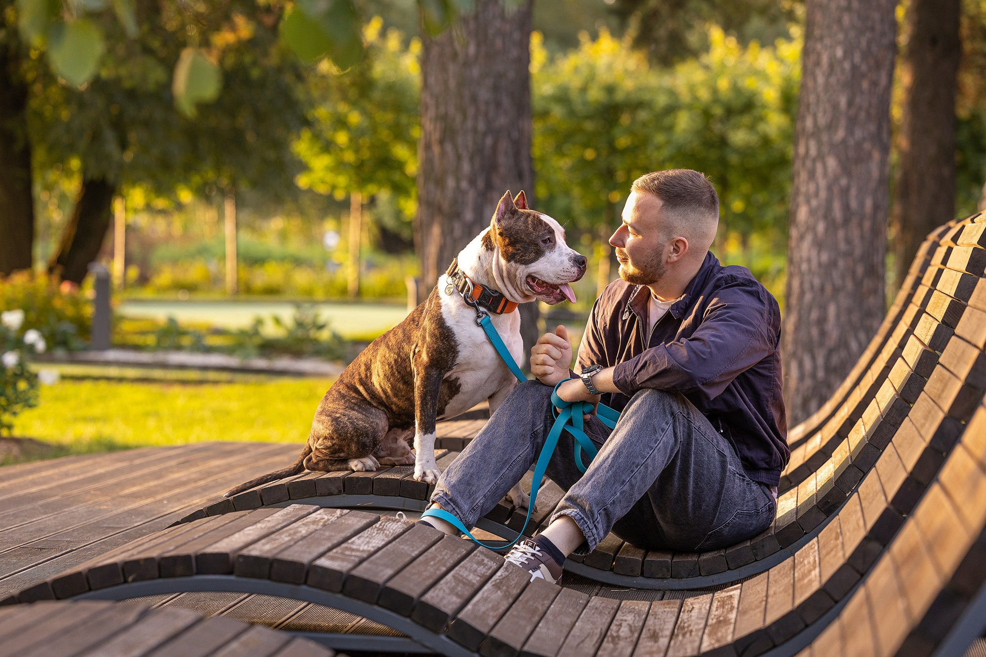 Амстафф Честер и его семья. Фотограф-анималист Natalia Deingel | Фотосъемка собак в Москве