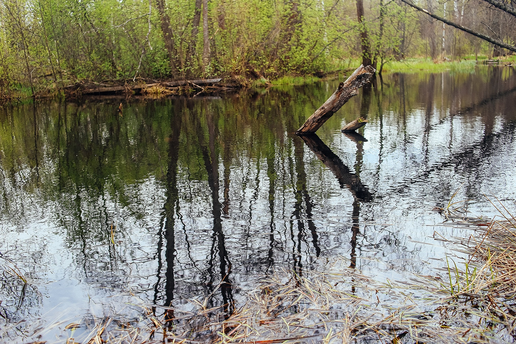 Русская деревня. Детский и семейный фотограф, фотограф мероприятий Нижний Новгород