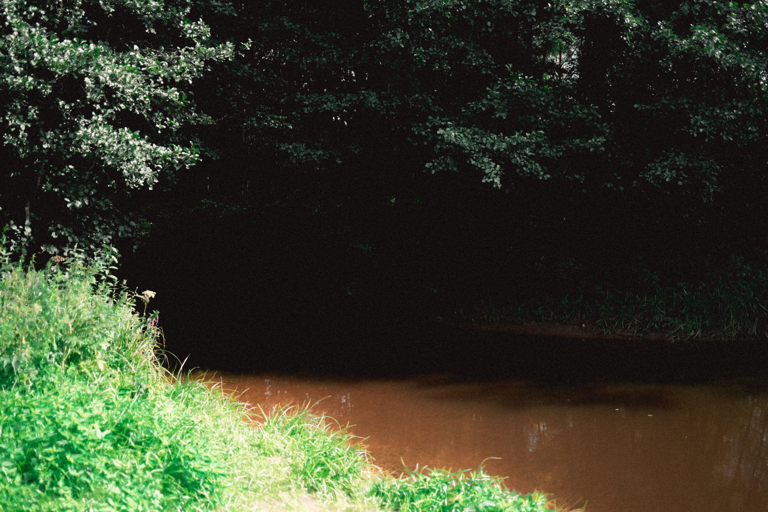 Череповец. Анна Мильч