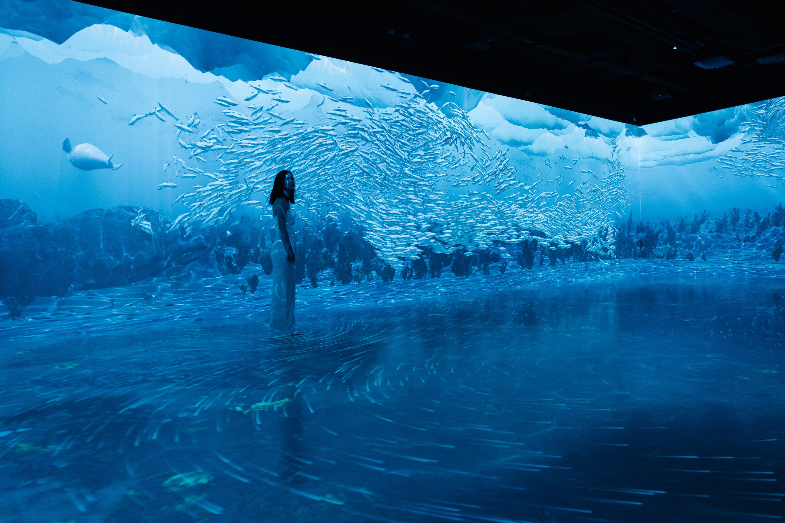 VI Ocean, Tutankhamun, SILA SVETA. @tomrus: Рустам Шагиморданов — фотограф