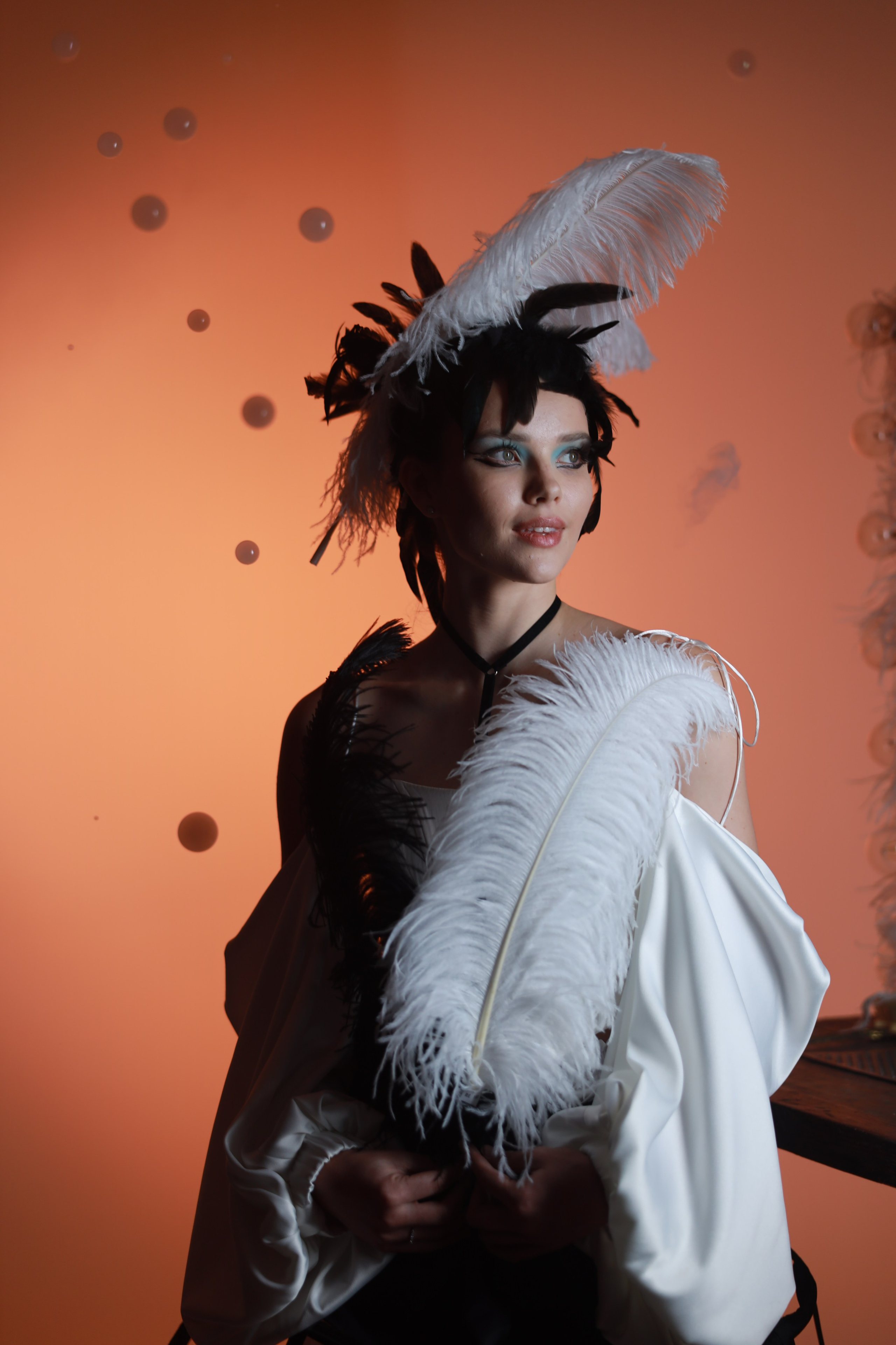 Перья. Съемка в студии под ваш запрос, студийные съемки, фотографии архитектурных объектов — Александр Евстигнеев — фотограф Москва