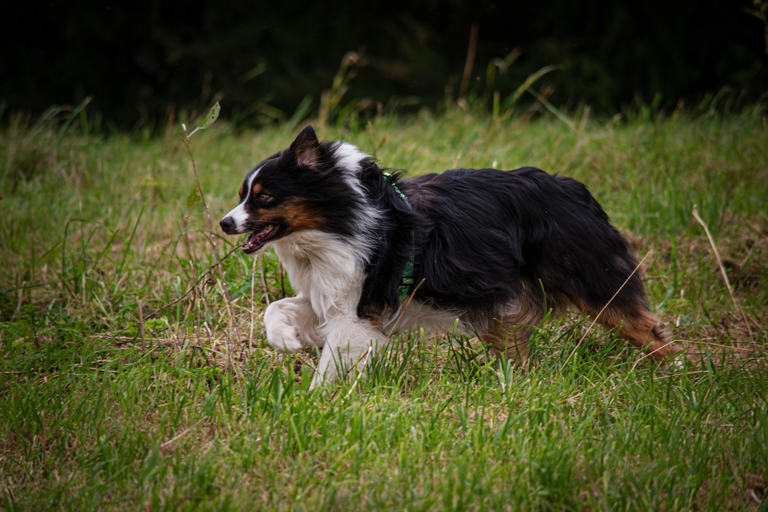 Прогулка в парке Митино. Фотограф Светлана Блинова, Москва и Московская область