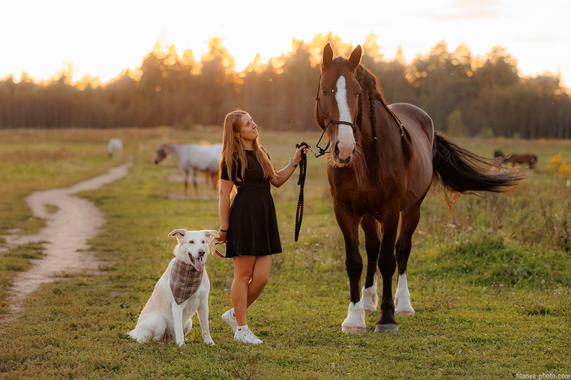 Закатная семейная фотосессия: про Настю и её дружную семью. Фотограф собак, фотограф-анималист Аня Титова (Titanya). Москва