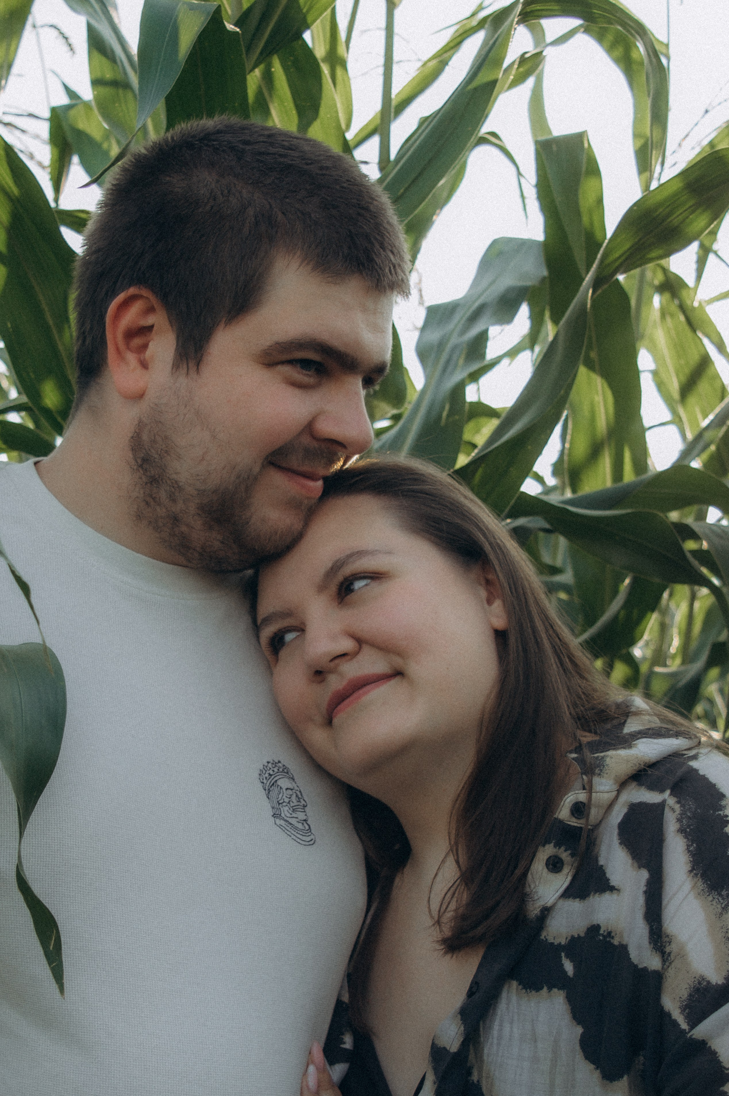 Лето, семья, кукуруза. Семейная летняя фотосессия. Юлия Левада Семейный и женский фотограф