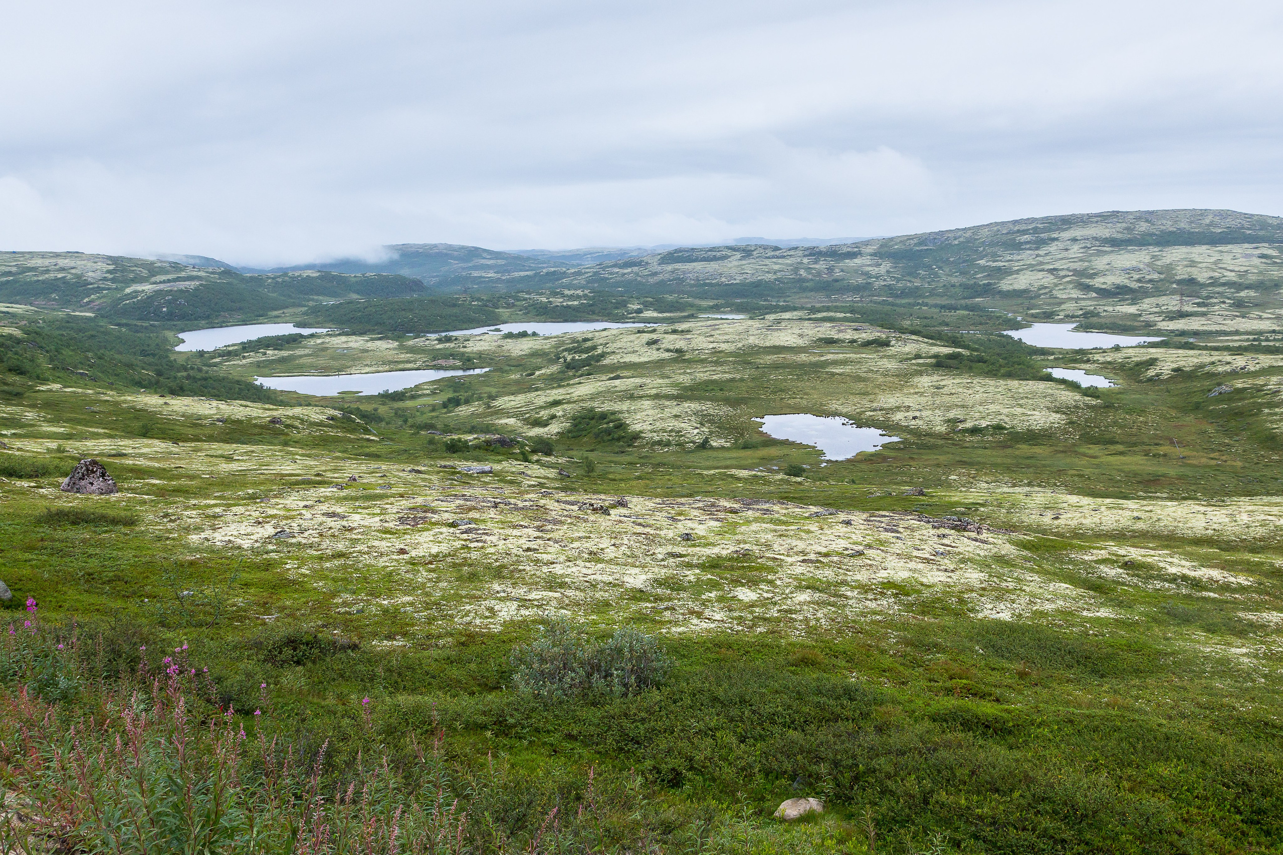 Териберка. Пейзажи Крайнего Севера. Баренцево море, Рыбачий, Средний, Немецкий