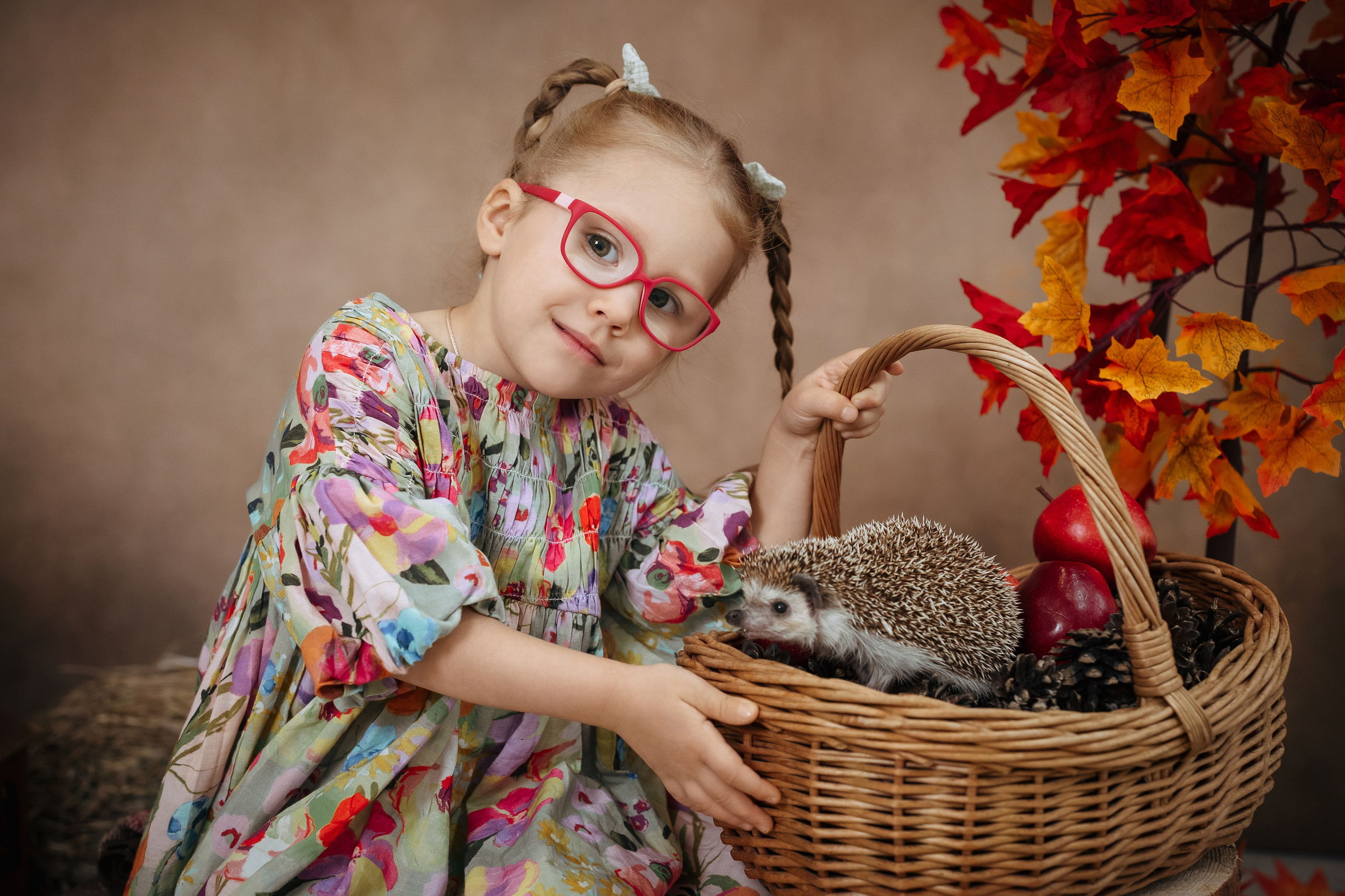 Ёжик. Фотограф Казакова Анастасия