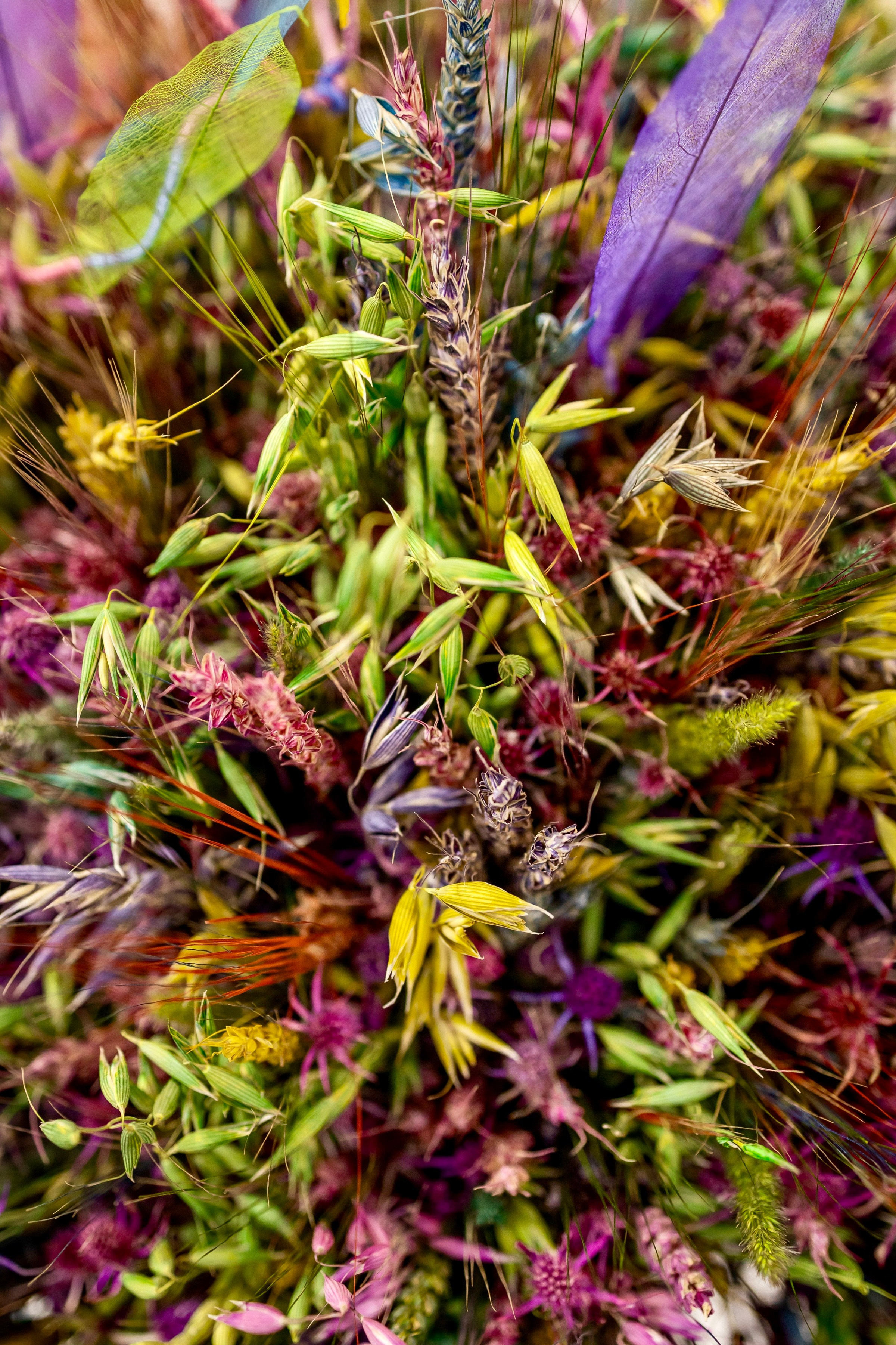 Цветы-Экспо 2025. Фотосессии и репортаж — Фотограф в Москве — Рина Серёгина