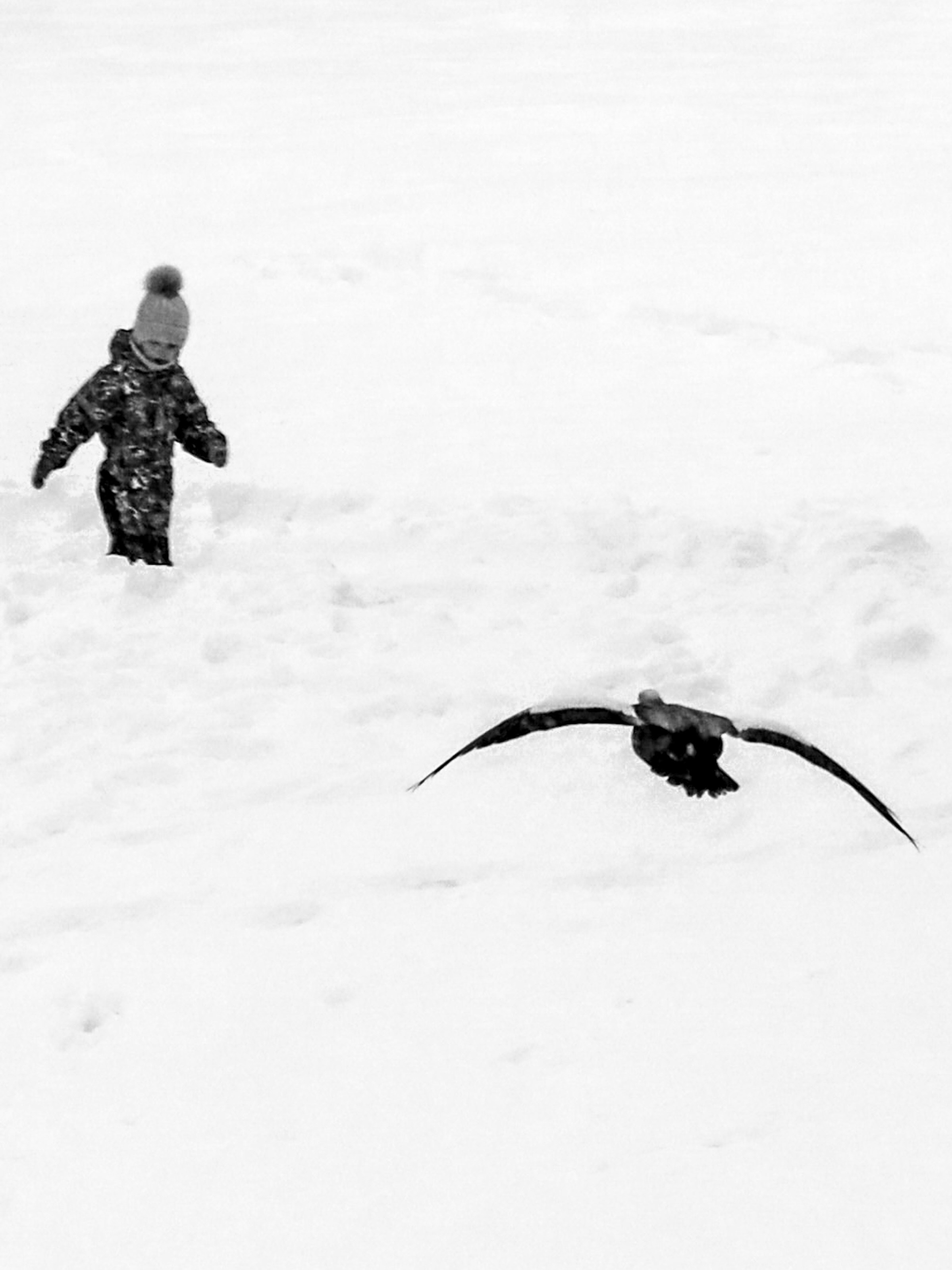 Чёрно-белая зима 25-26. Фотосессии и репортаж — Фотограф в Москве — Рина Серёгина