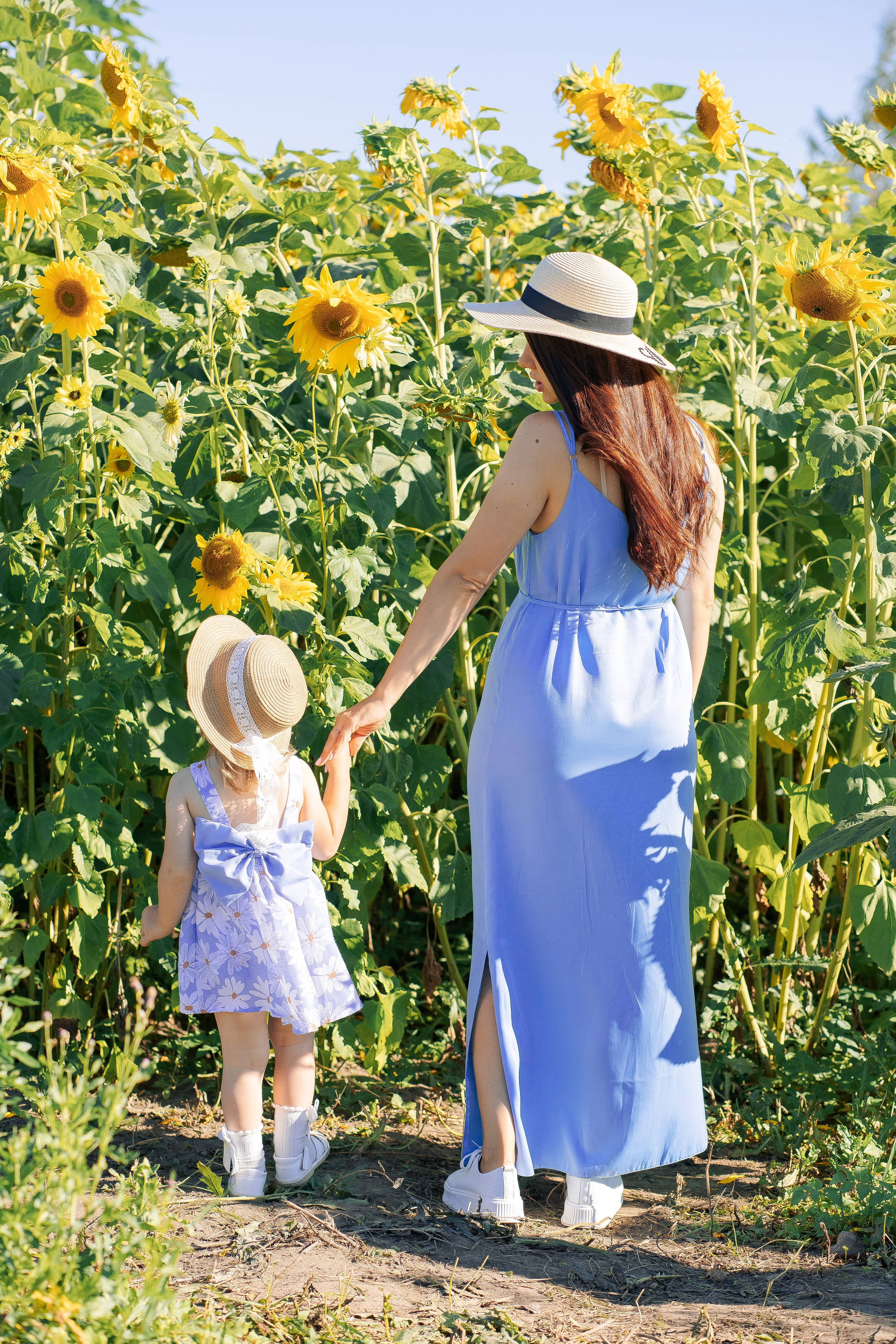 Семейная фотосессия с подсолнухами. Фотограф в Санкт-Петербурге, Анна Скворцова