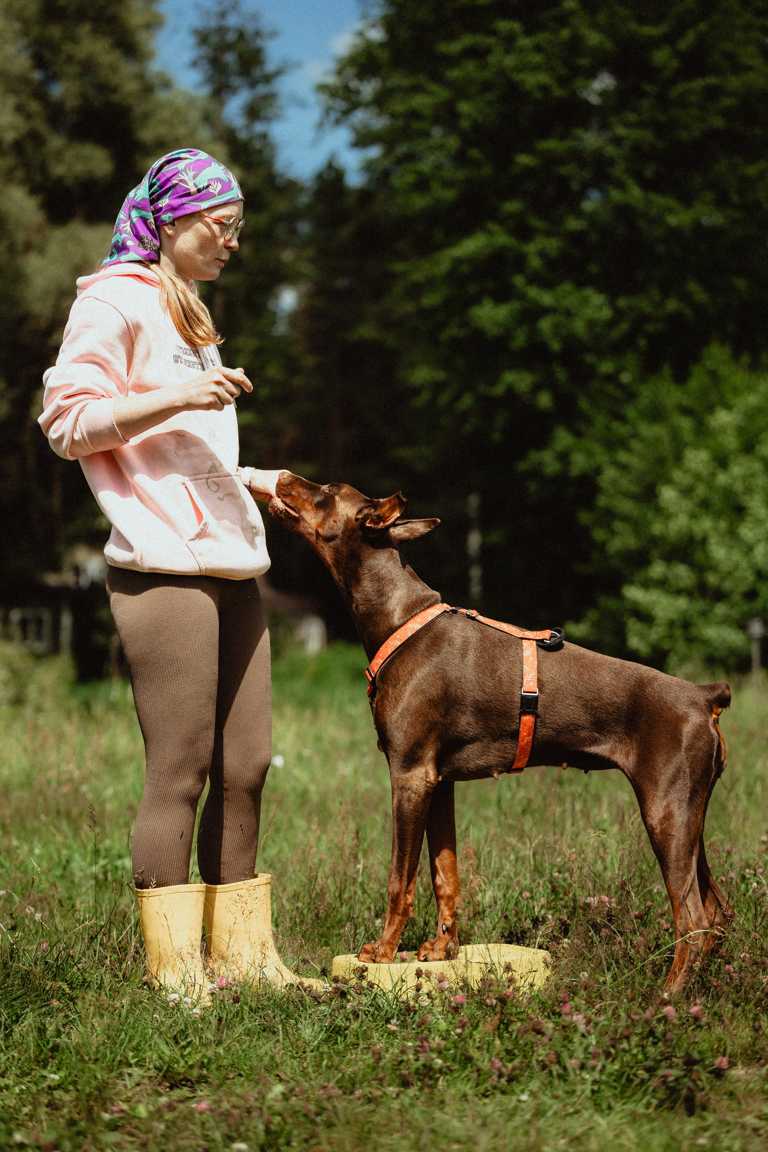 Выездной дог-тренинг от школы «Шерсть имею»