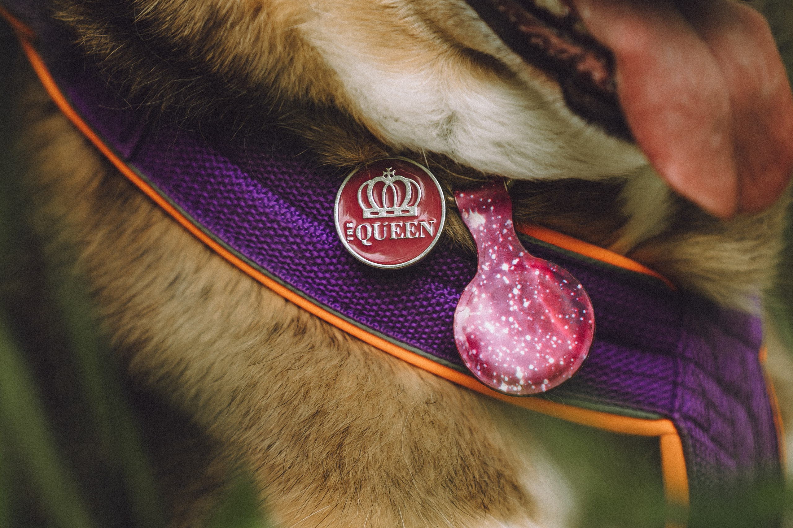 Груша, Данни, Фунтик и их семья