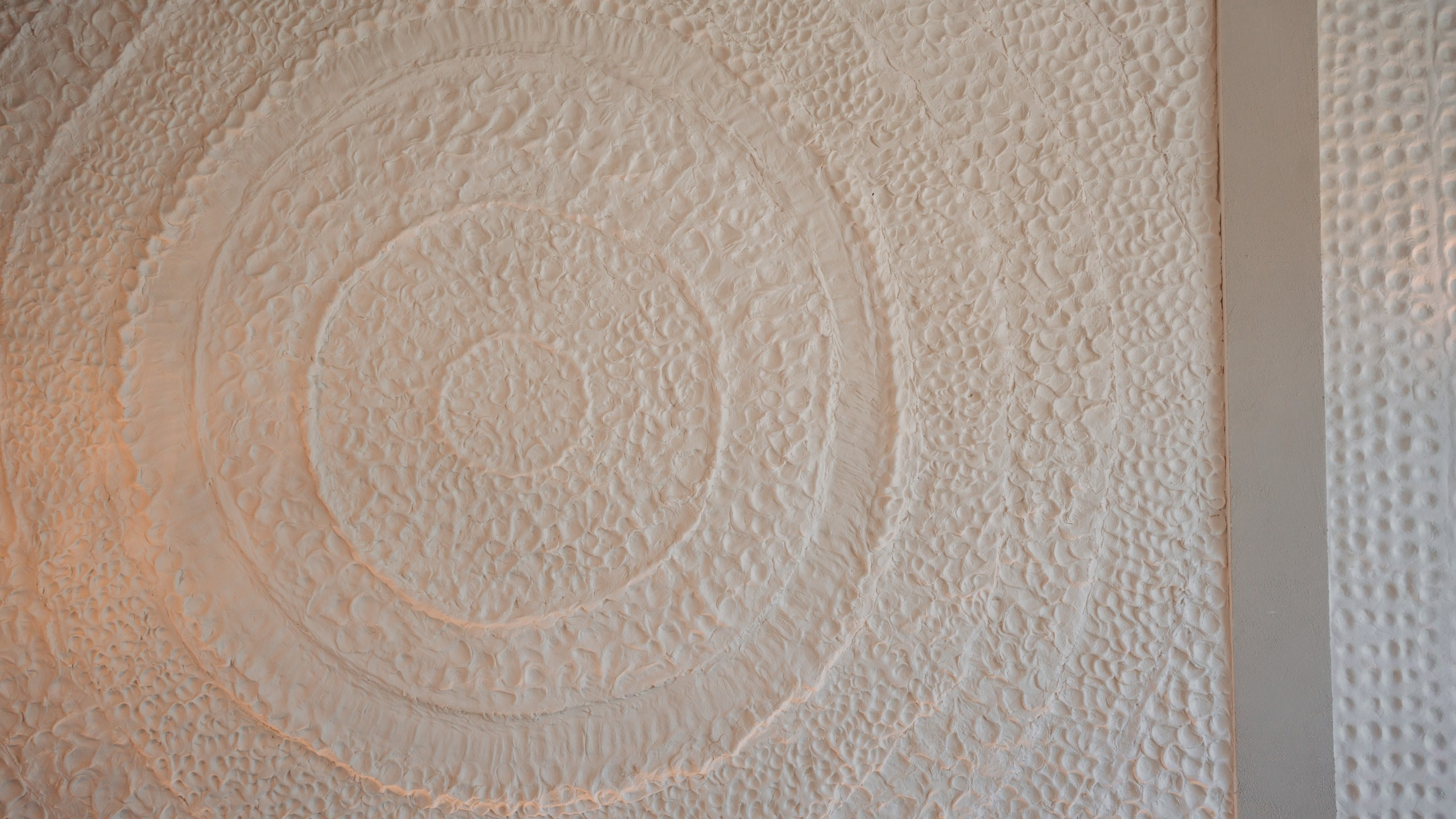 Olio x Enter. Саша Копылов, фотограф в Казани