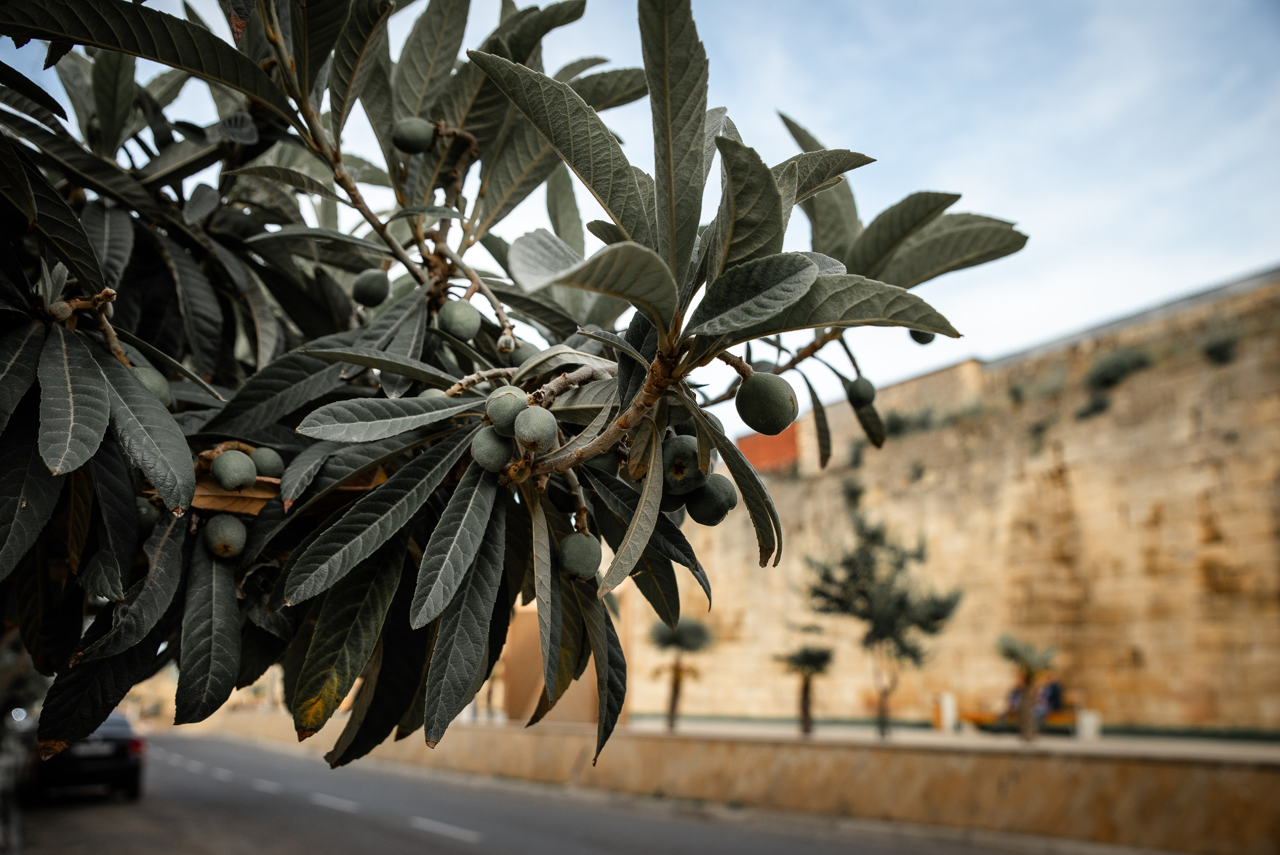 Дагестан. Фотограф Крещение Венчание Москва