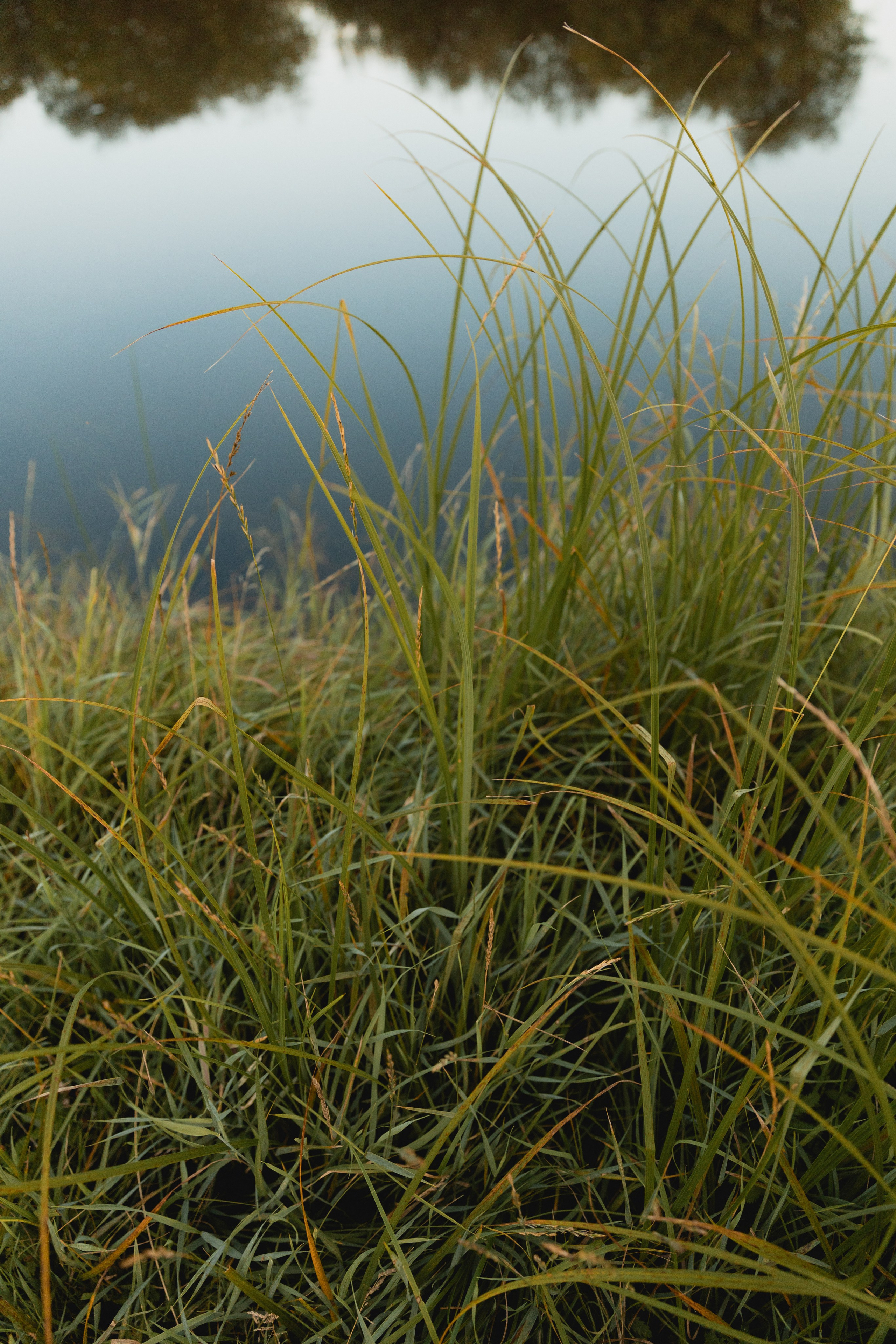 Дачная. Семейный и свадебный фотограф Лилия Матонина | Ангарск, Иркутск, Усолье-Сибирское, Байкал (Листвянка, Ольхон), Иркутская область