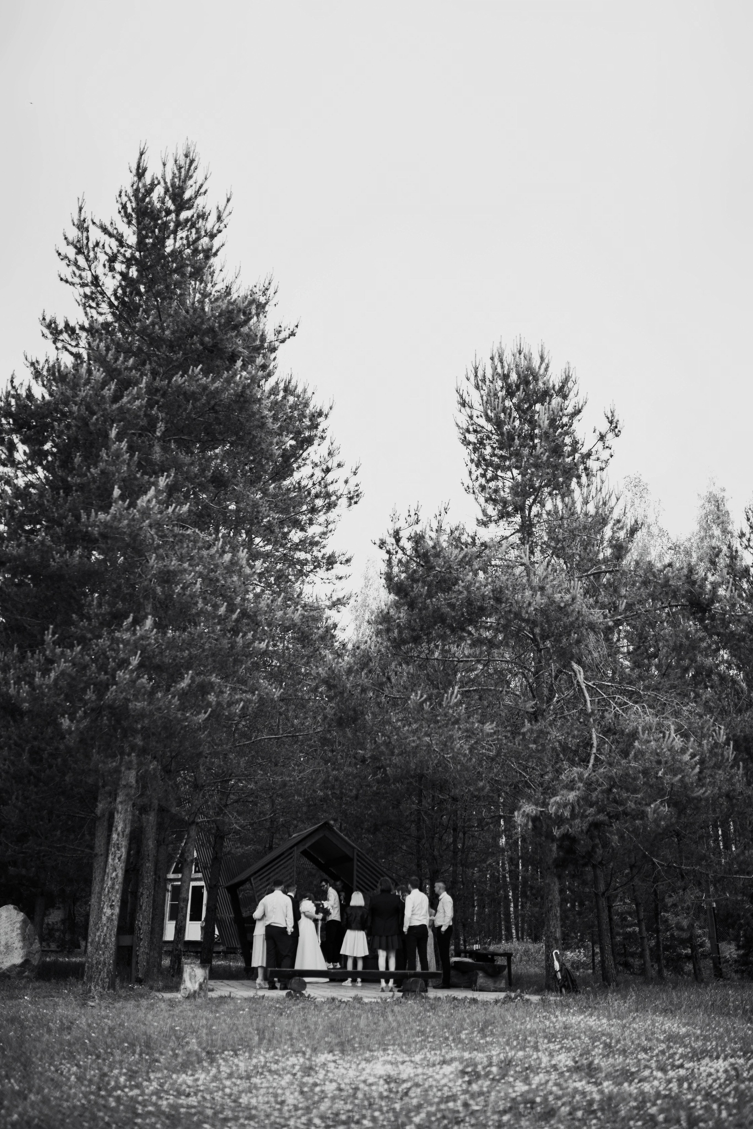 Николай и Екатерина. Фотограф Светлана Голицына