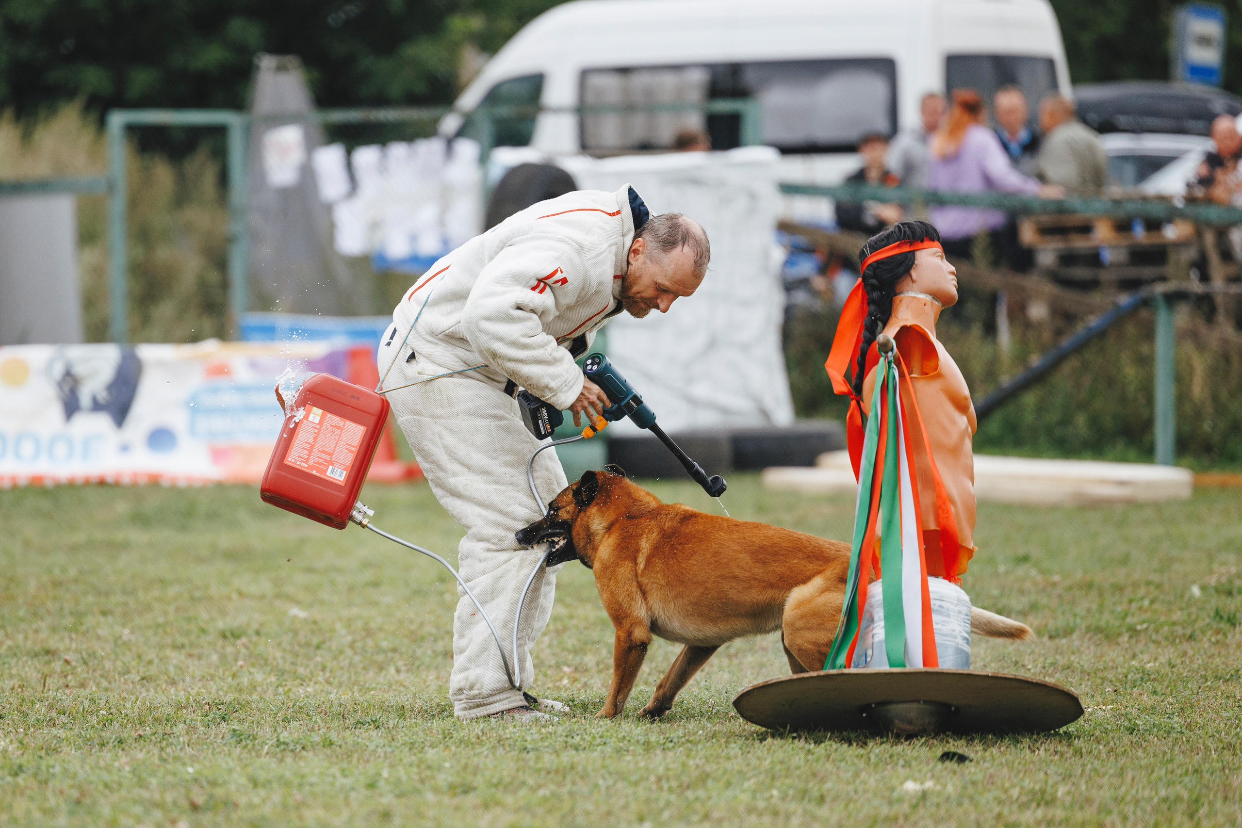 08.08.25-10.08.25 ЧР по мондьорингу г. Вологда. Фотограф-анималист Анна Маринич