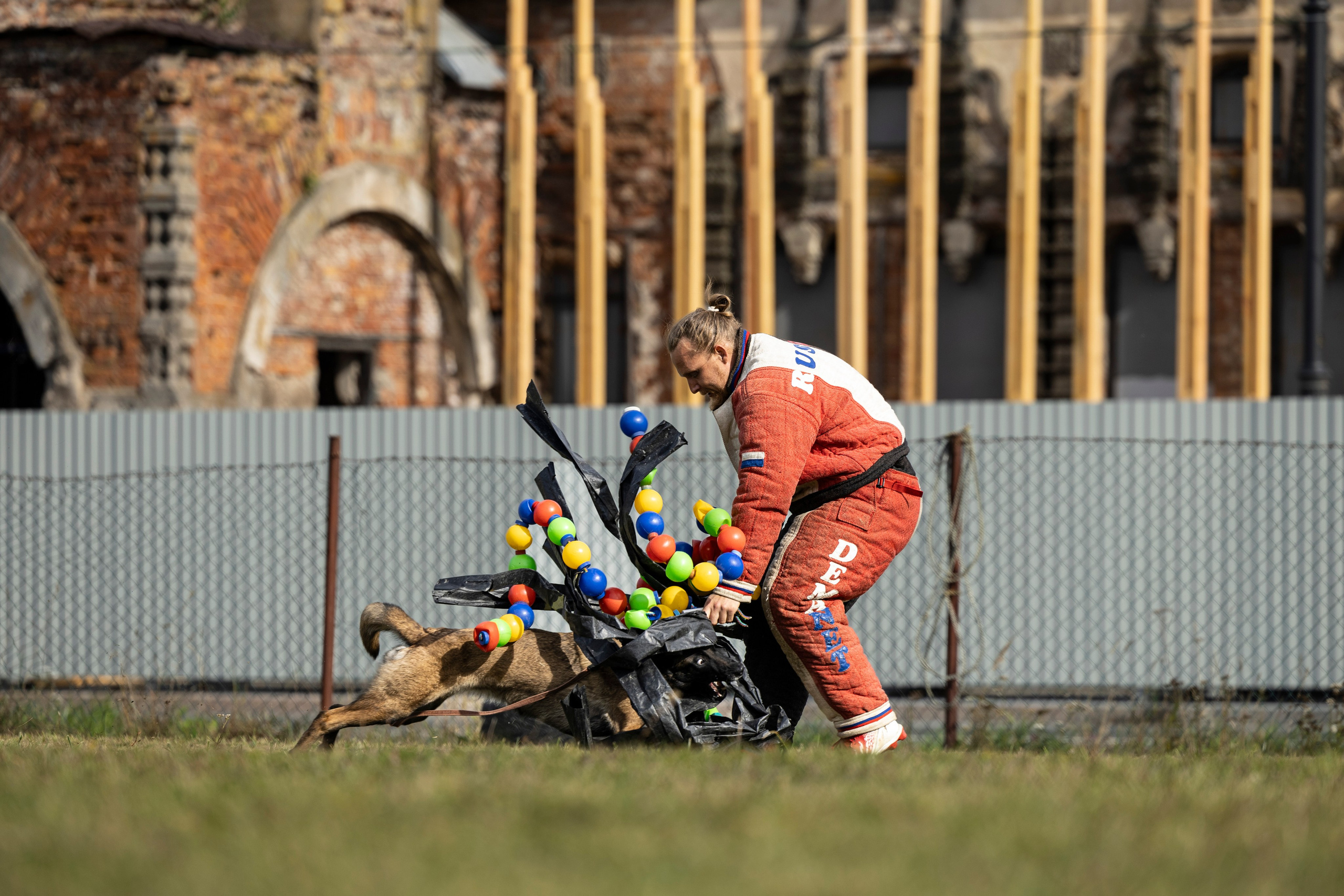 Испытания по Мондьорингу г. Пушкин. Фотограф-анималист Анна Маринич
