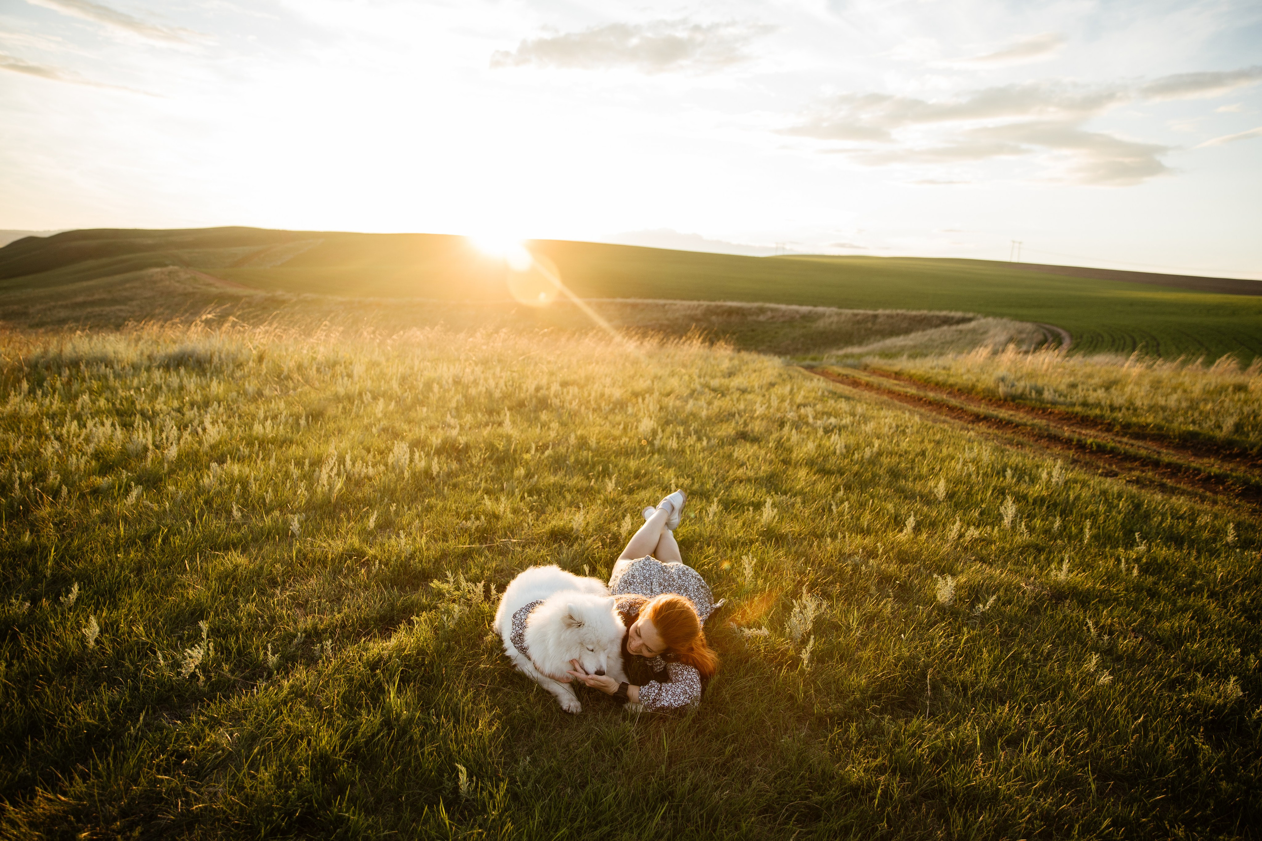 Пушистое облачко. Свадебный и семейный фотограф в Красноярске Сиско Ксения