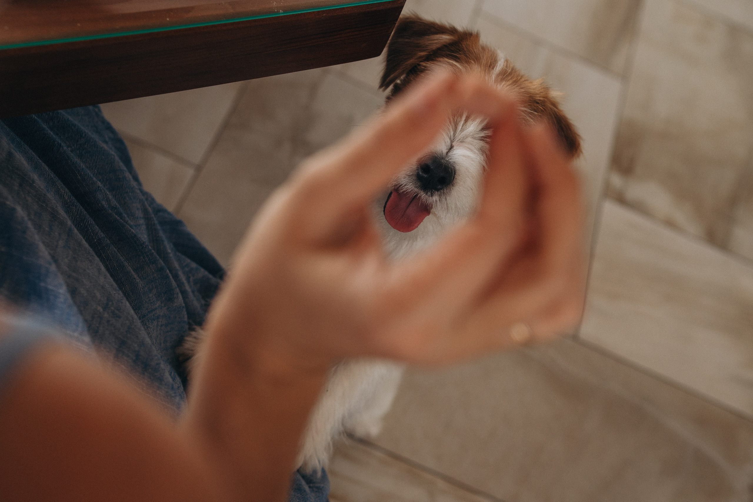 Бесконечность. Семейная домашняя серия. Alenasokolowa.ru