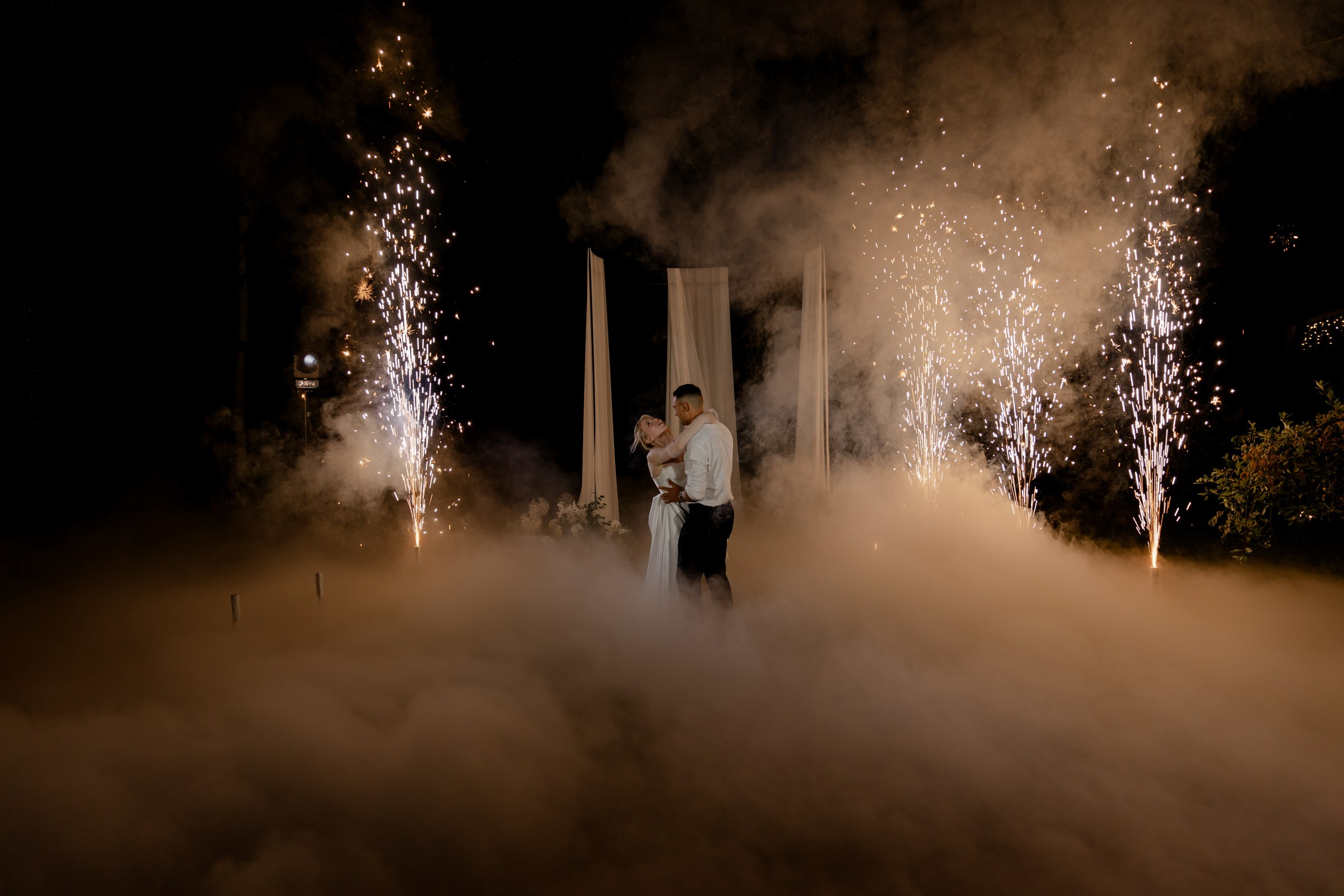 Свадьба пес и котики. Dima Lemeshevsky