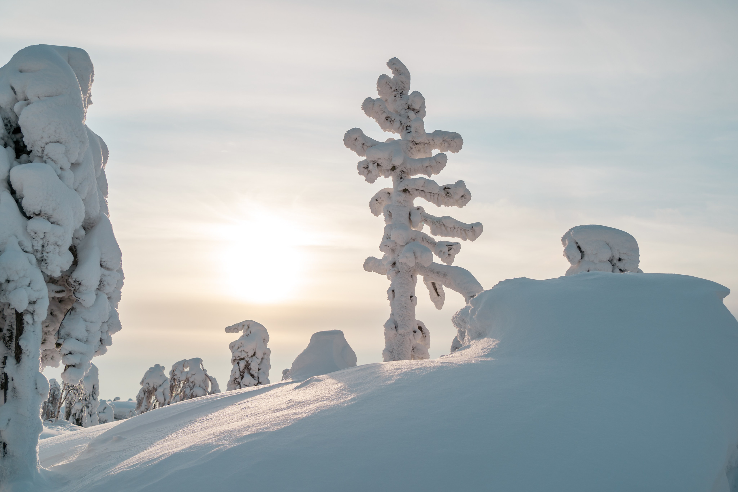 Пермский край. Семейный фотограф Варвара Сорока в городе Москве