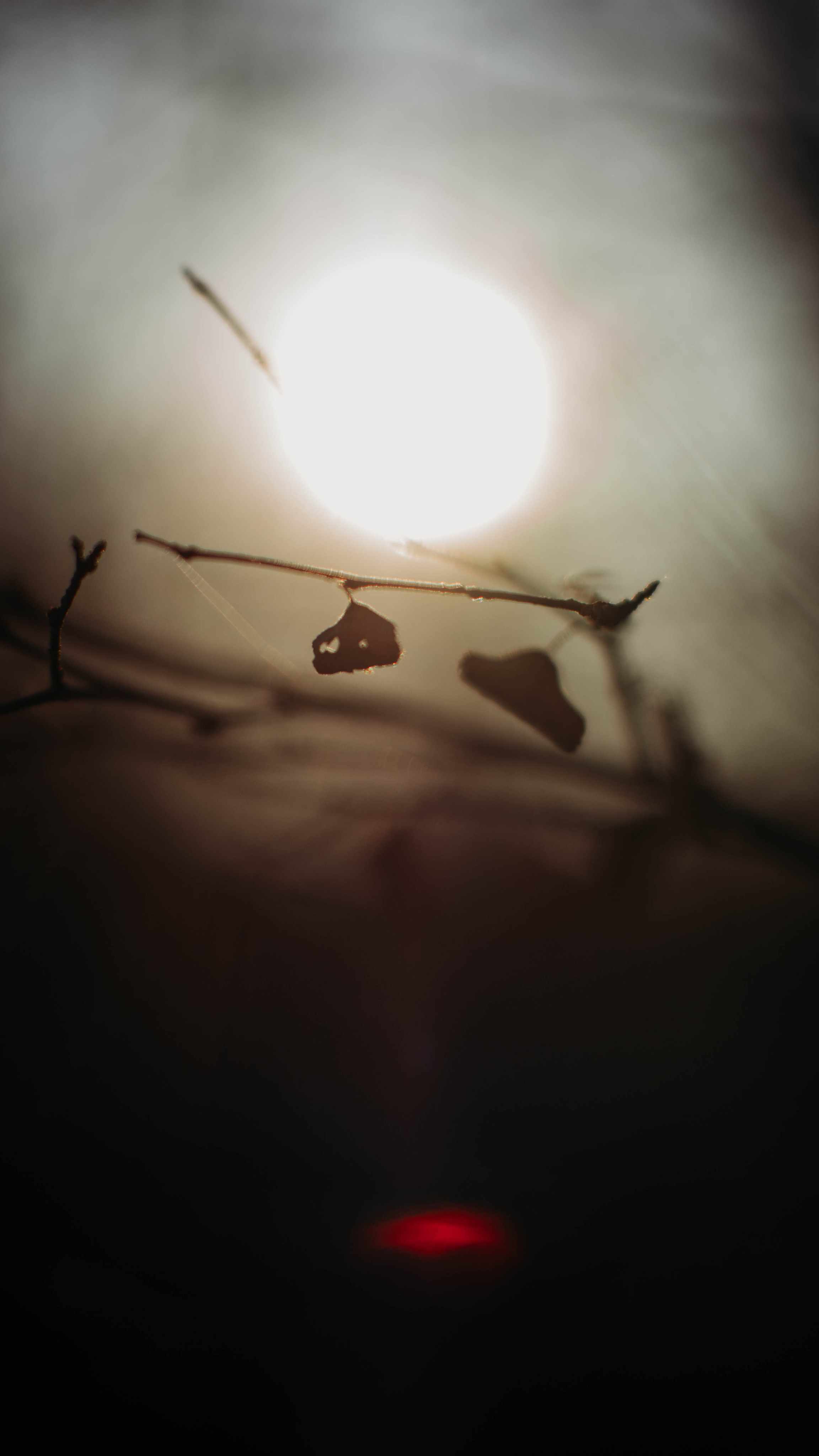 Обои на телефон. Семейный и детский фотограф в Москве