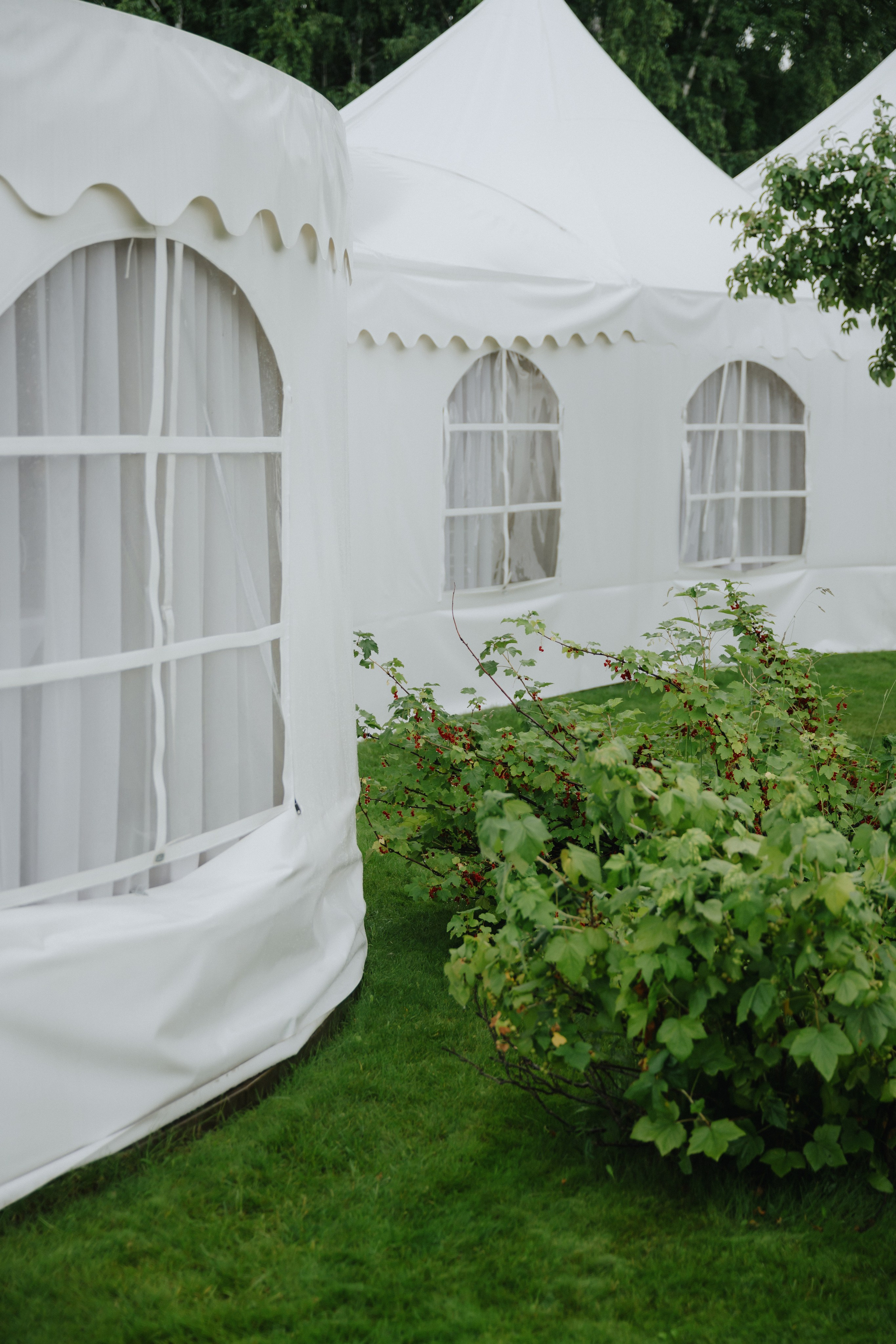 Полина & Владимир, Сагитариус