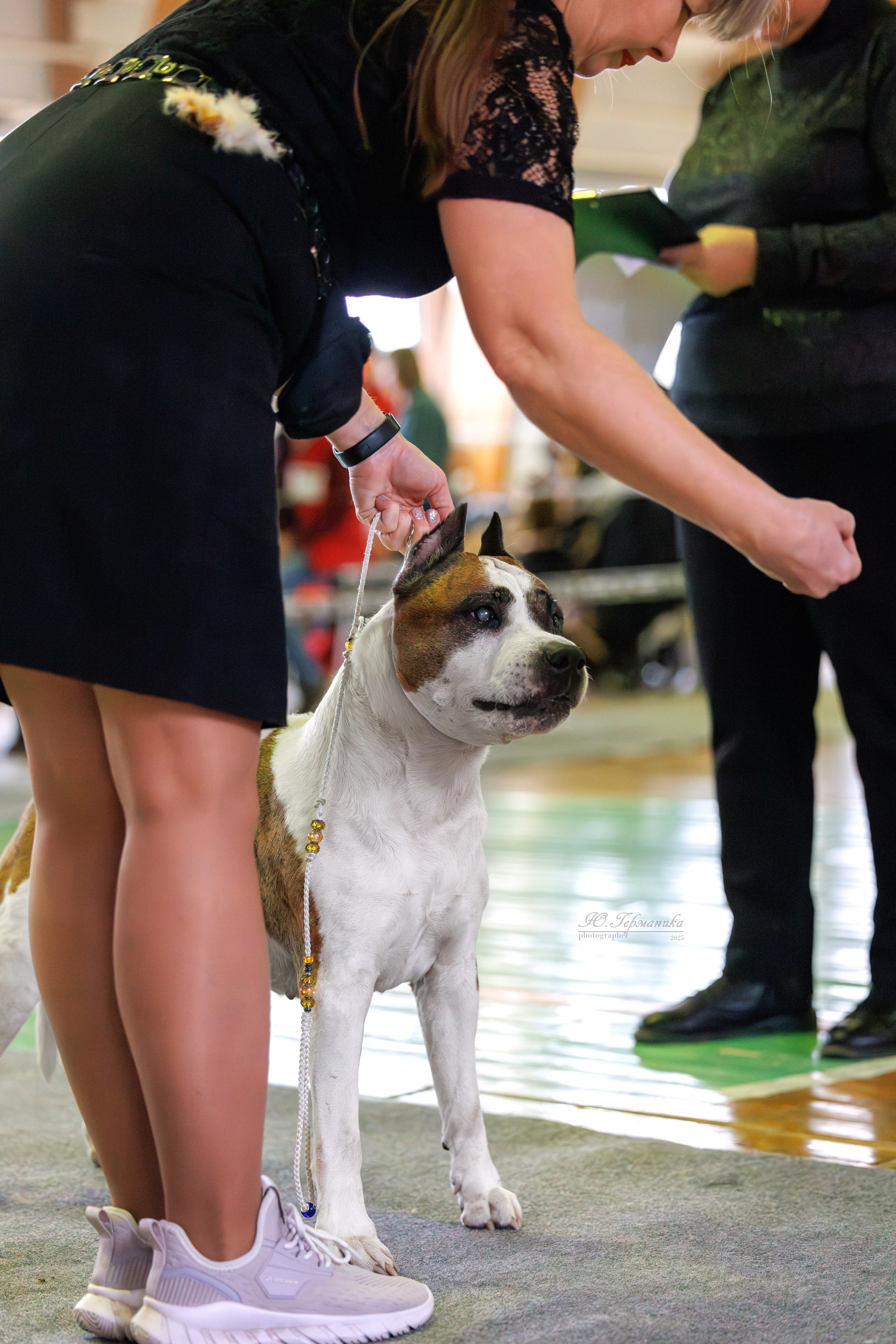 Тверь 21.12.2025. Фотограф-анималист Юлия Германика