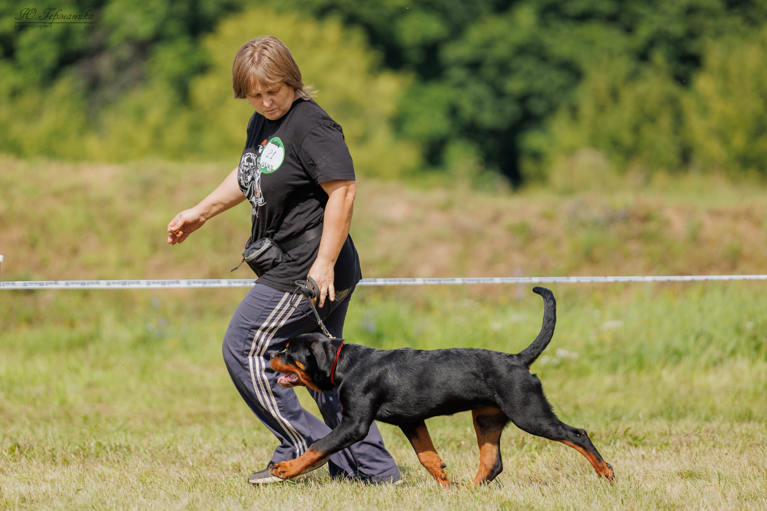 Рязань 2хмоно ротвейлеры 16-17.08.2025. Фотограф-анималист Юлия Германика